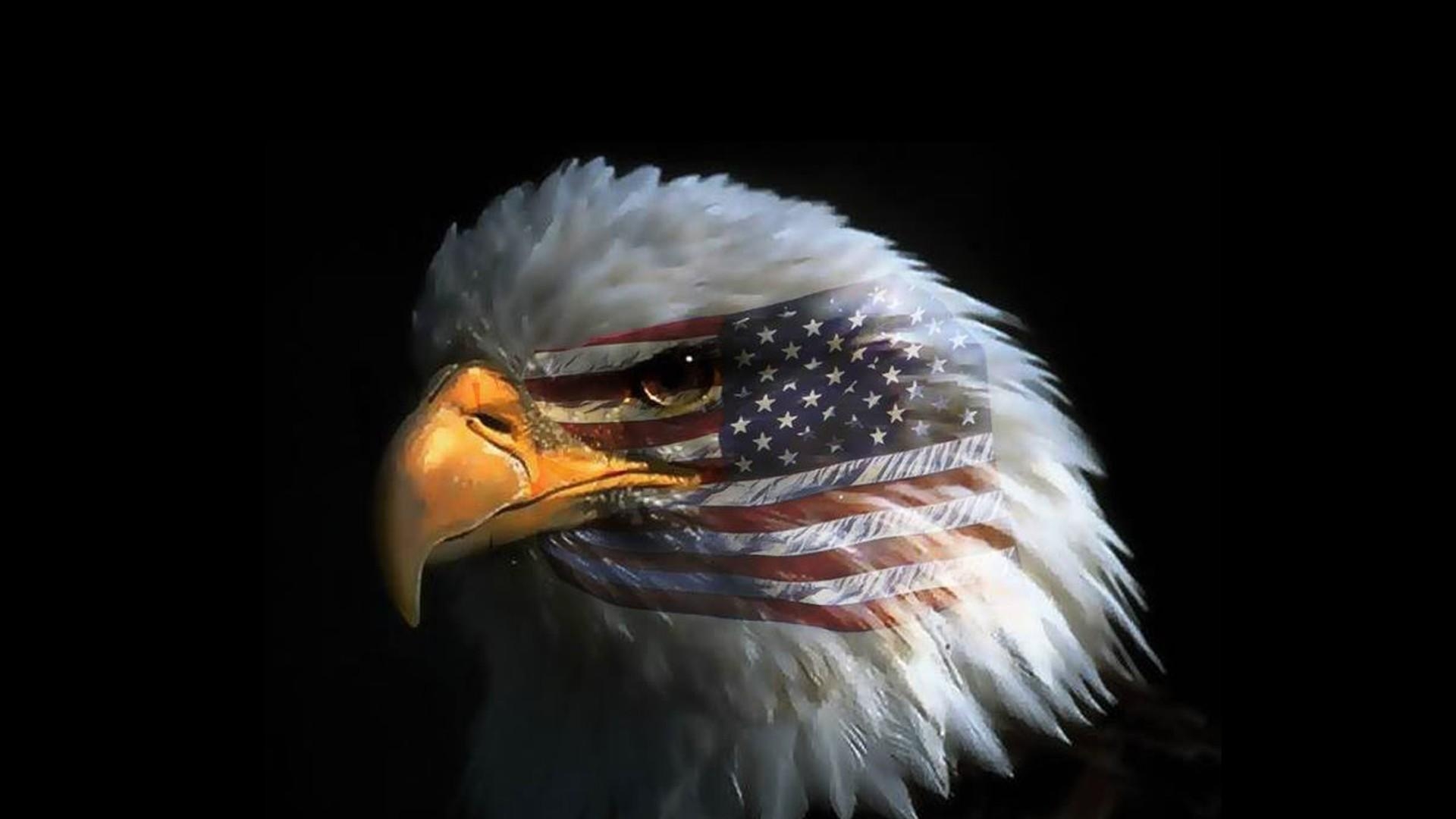 1920x1080 Eagle Eye American Flag Wallpaper HD Or Mobile Phone And Pc, Desktop