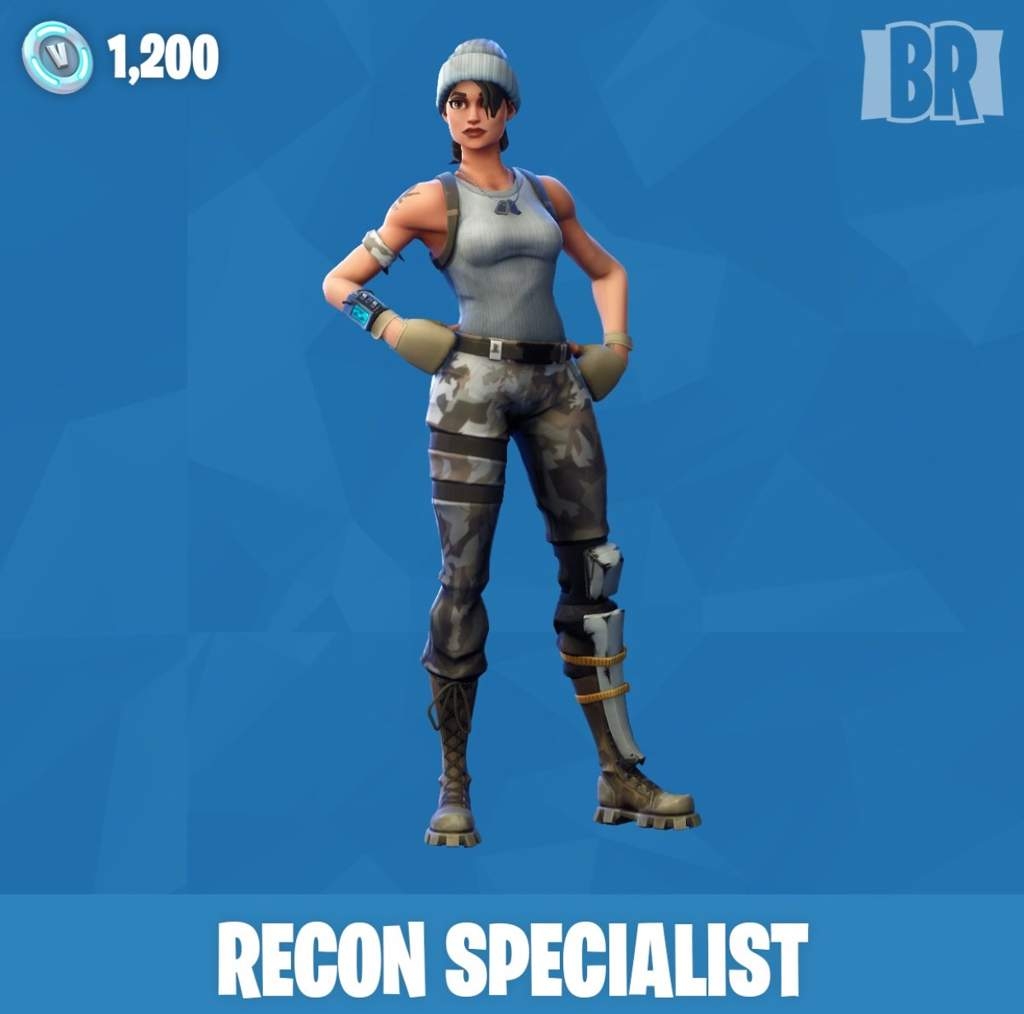 1030x1020 Recon Specialist or Arctic Assassin?. Fortnite: Battle Royale, Desktop