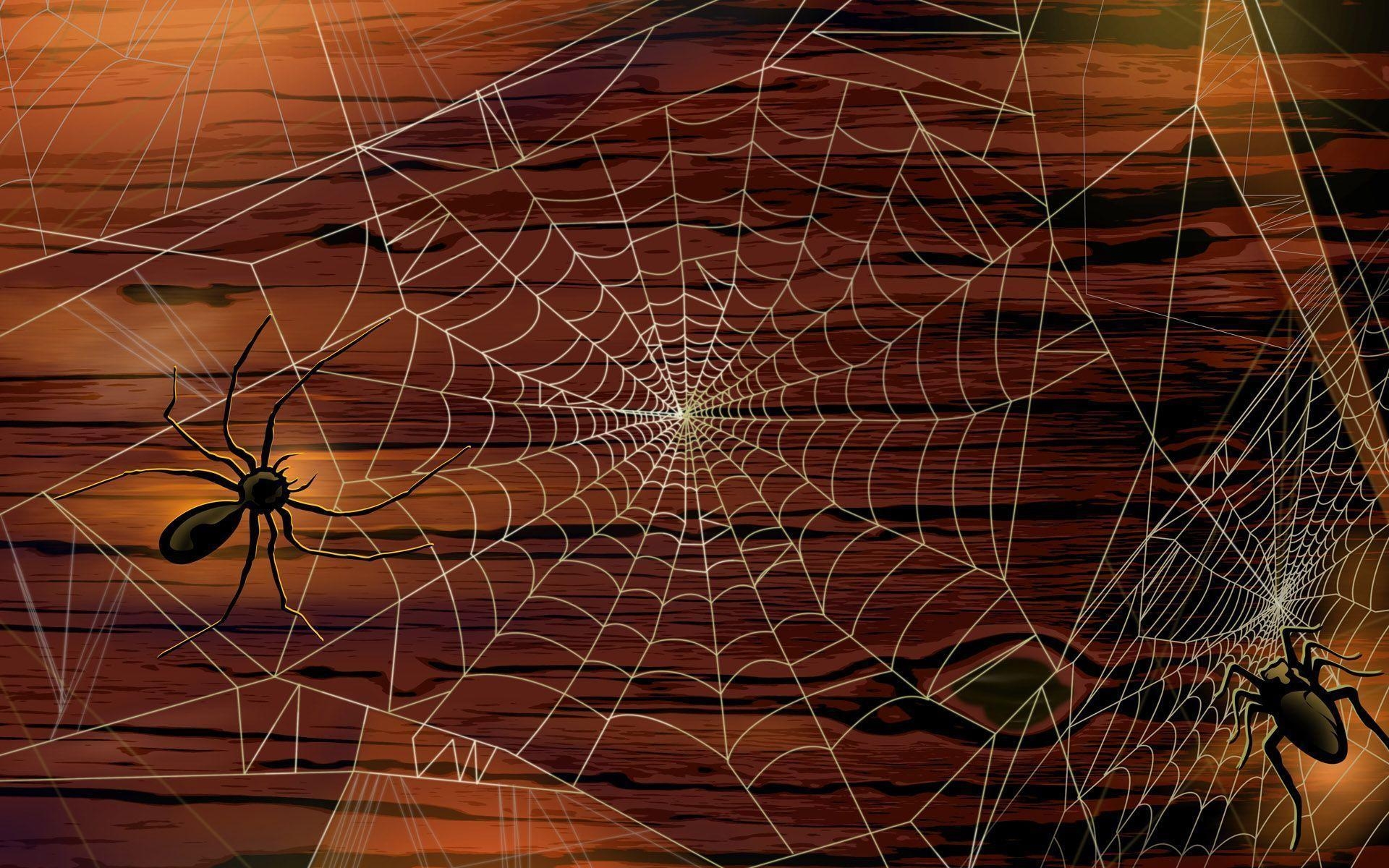 1920x1200 Scary Spider Wallpaper, Desktop