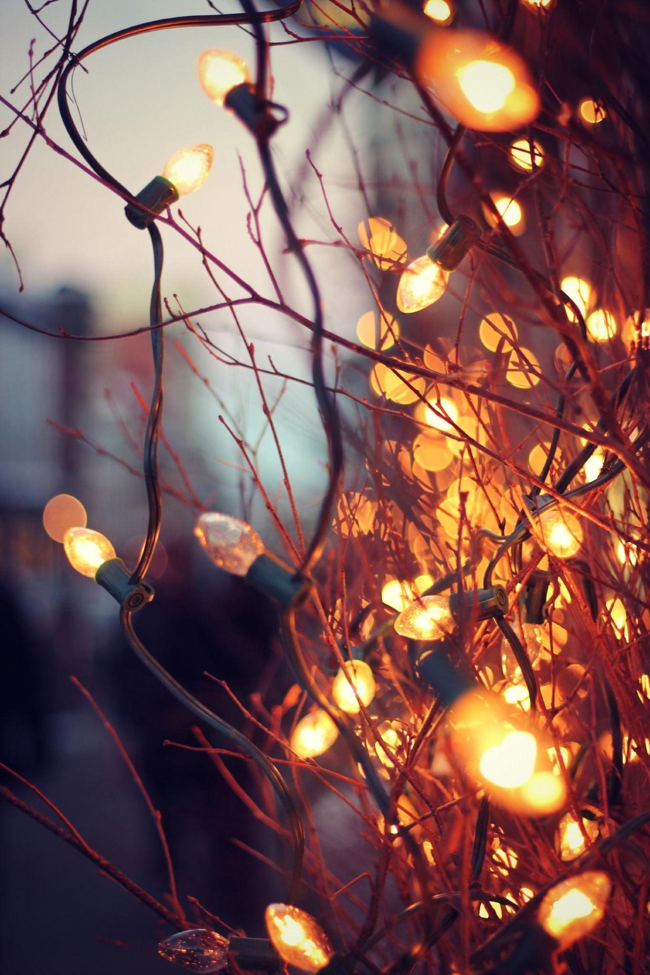 1280x1920 Winter lights. #Christmas #decoration. Fall wallpaper, Autumn, Phone