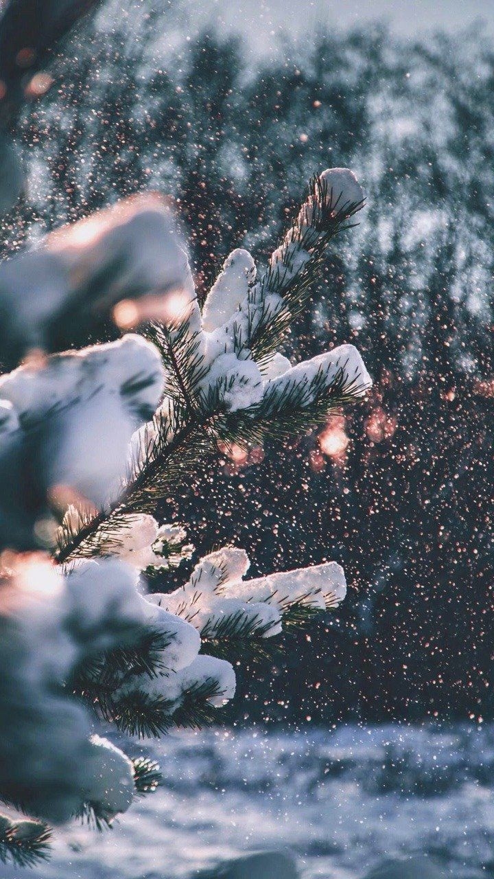 720x1280 Cozy Winter Tumblr Wallpaper Free Cozy Winter Tumblr Background, Phone