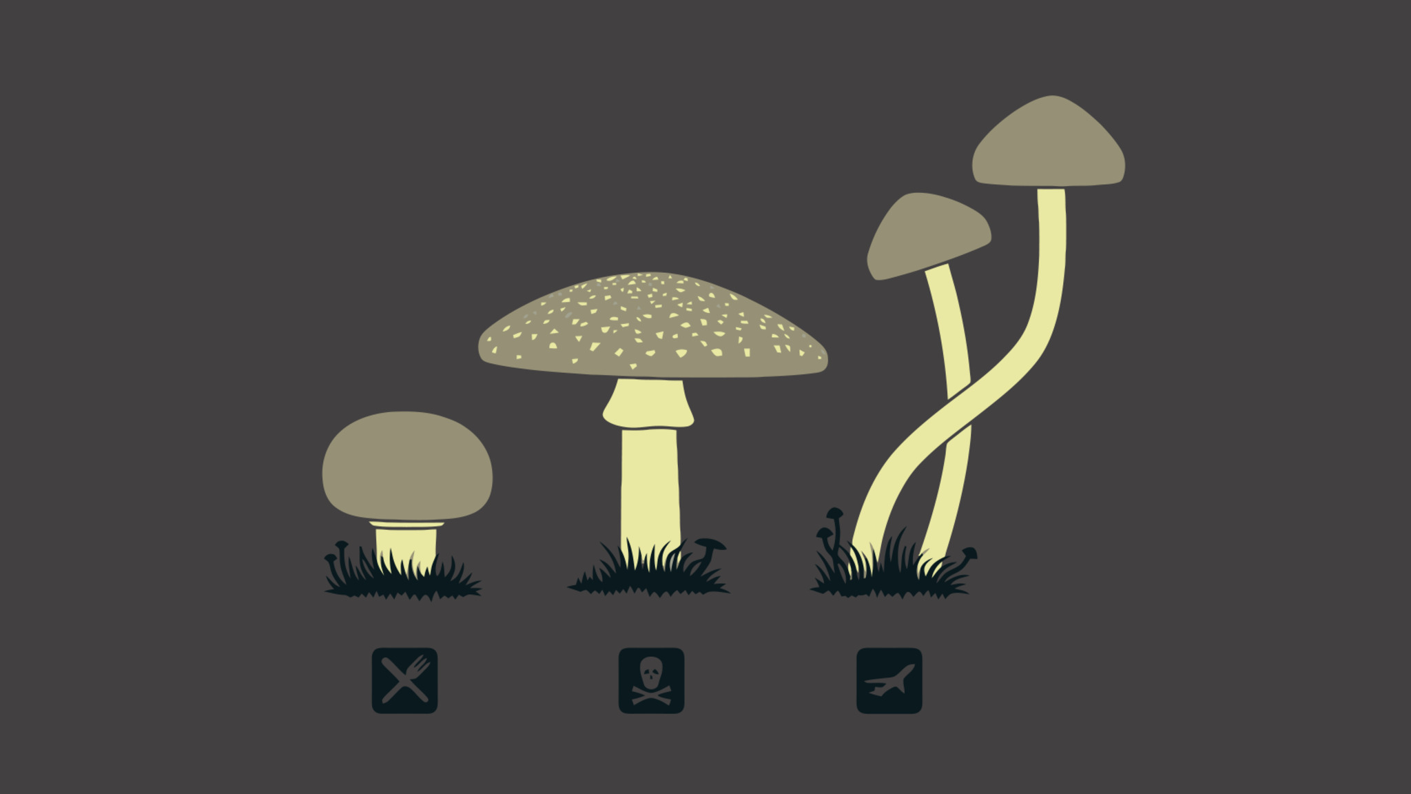 2050x1160 Mushroom Minimalism  Resolution HD 4k Wallpaper, Image, Background, Photo and Picture, Desktop