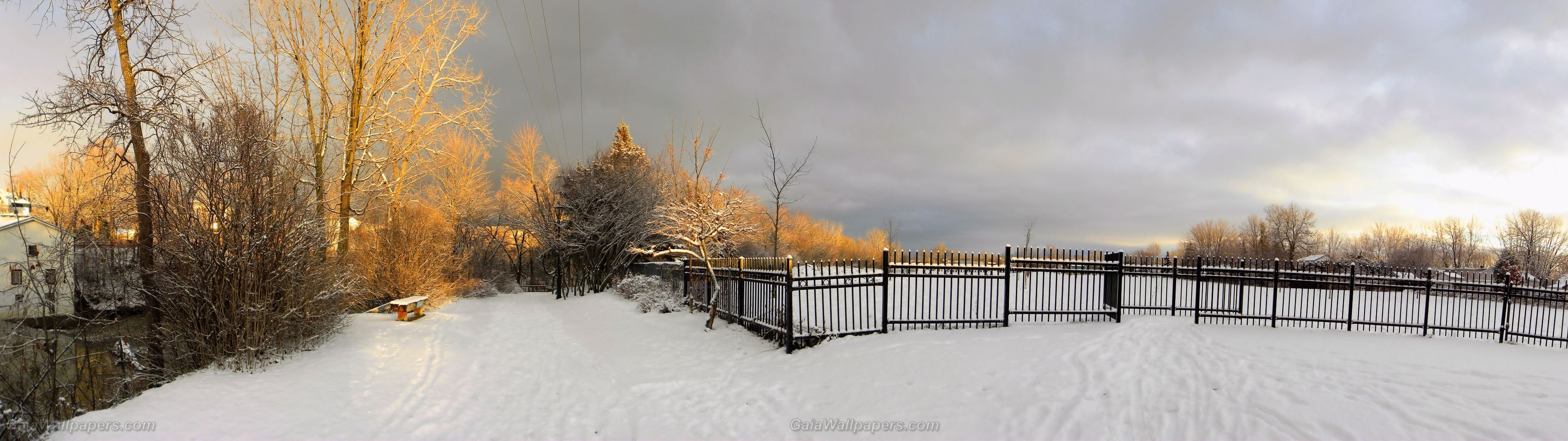 3840x1080 Winter sunset illuminating the park wallpaper  Desktop Wallpaper, Dual Screen