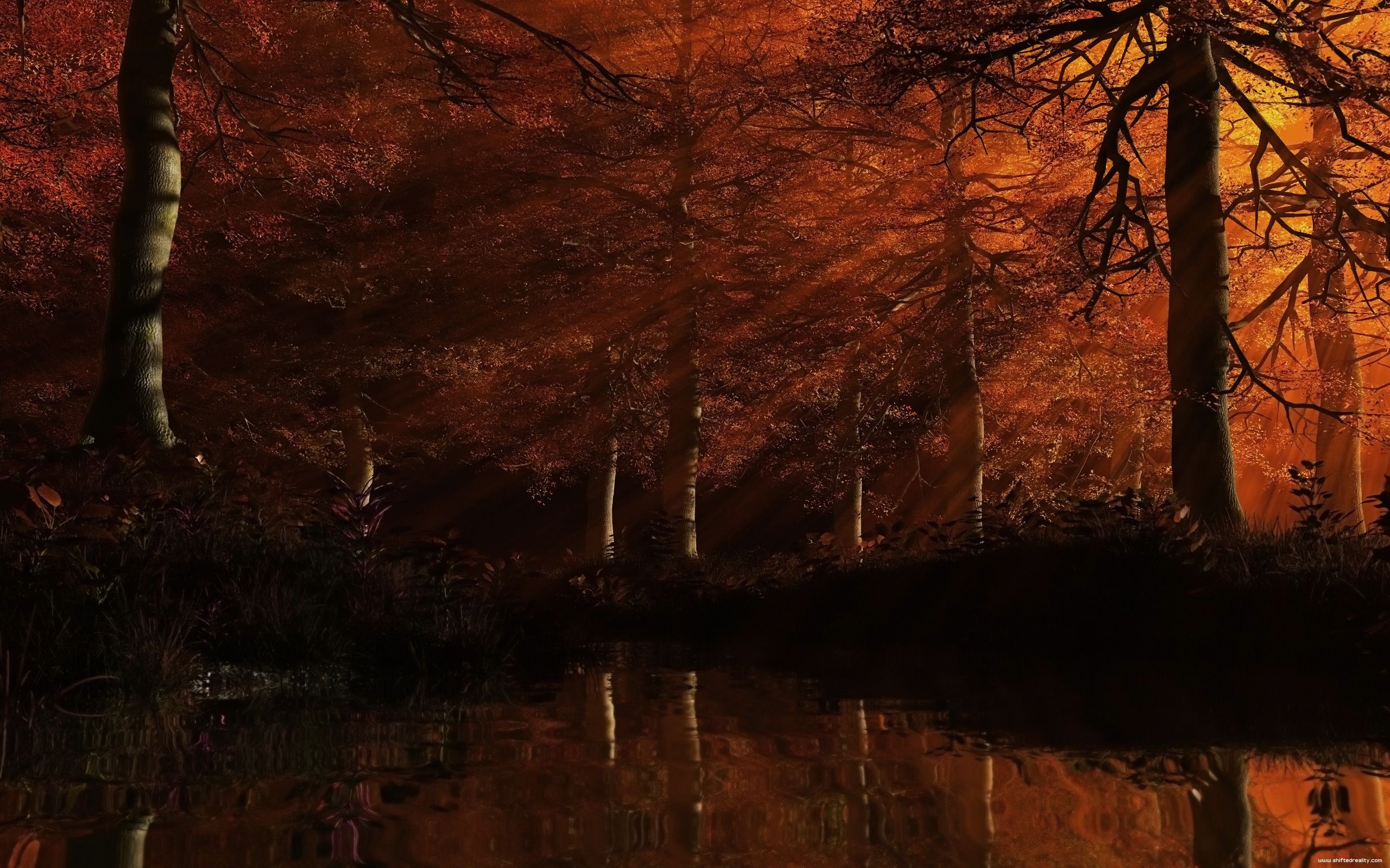 2560x1600 Dark Autumn Forest Wallpaper Dark autumn fo 1474 - Autumn Red Colored Forest Wallpaper, Desktop