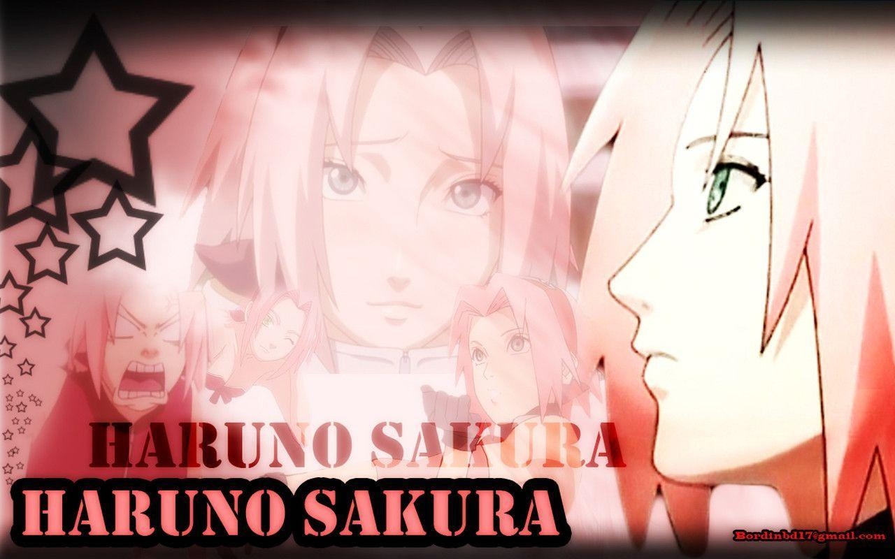 1280x800 Haruno Sakura Shippuuden Wallpaper, Desktop