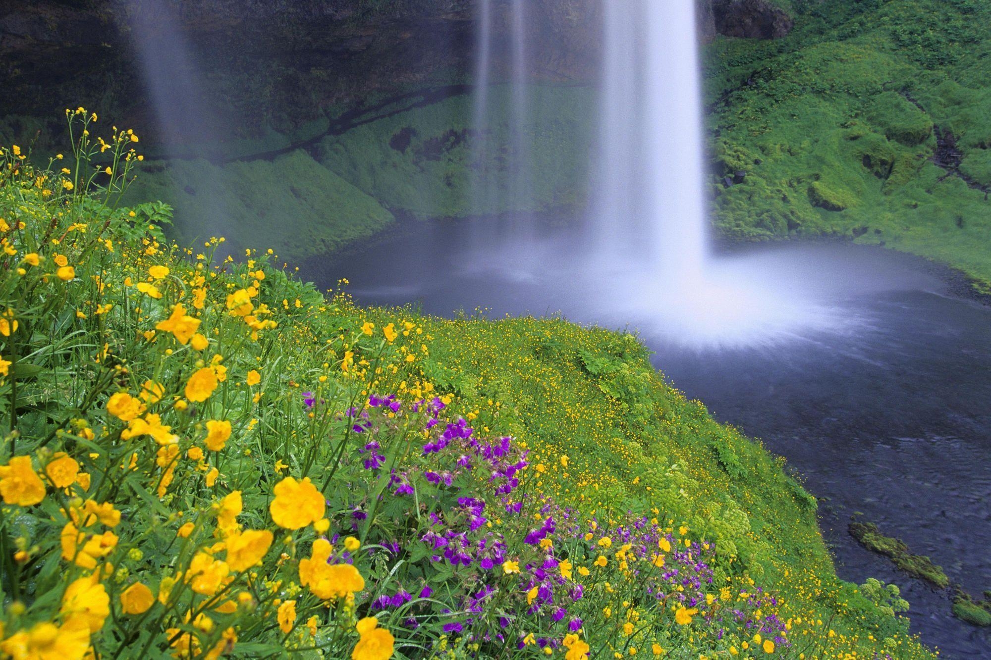 2000x1340 HD Wildflower Waterfall Wallpaper, Desktop