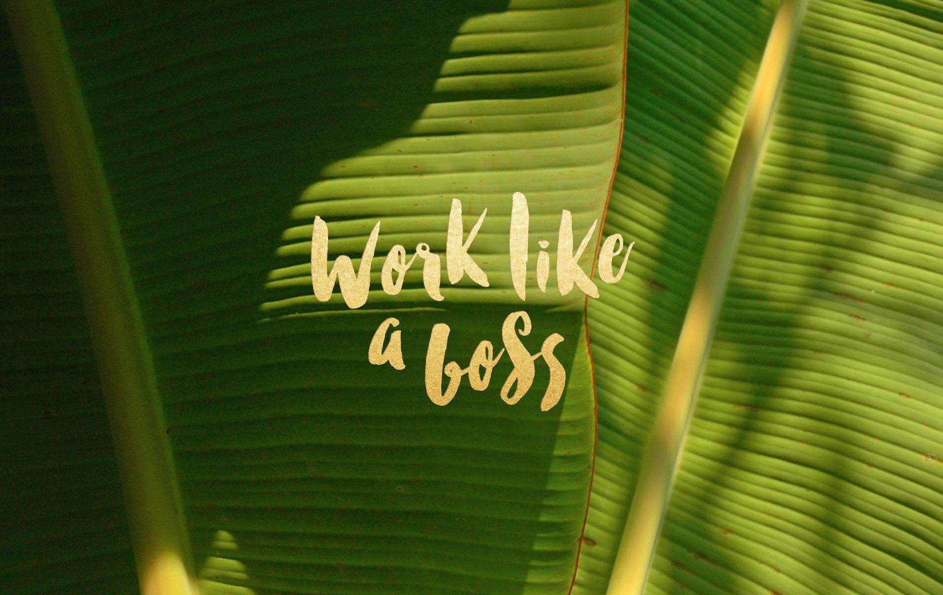 1900x1200 Work Like a Boss: Free Desktop Wallpaper, Desktop