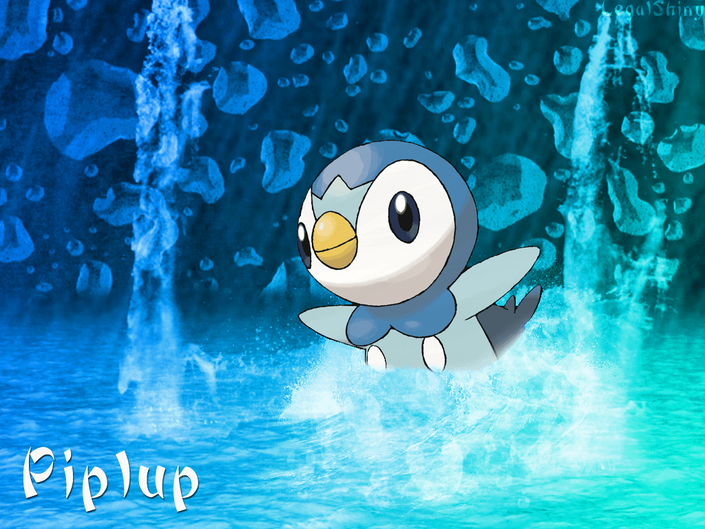 1030x770 Piplup Wallpaper Piplup HDQ Wallpaper, Desktop