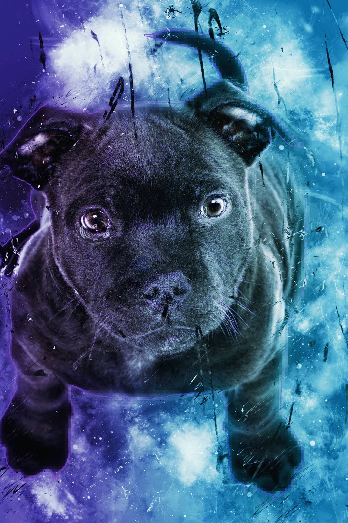 1440x2160 Download 1440x2960 wallpaper black puppy, dog, cute, digital art, Phone