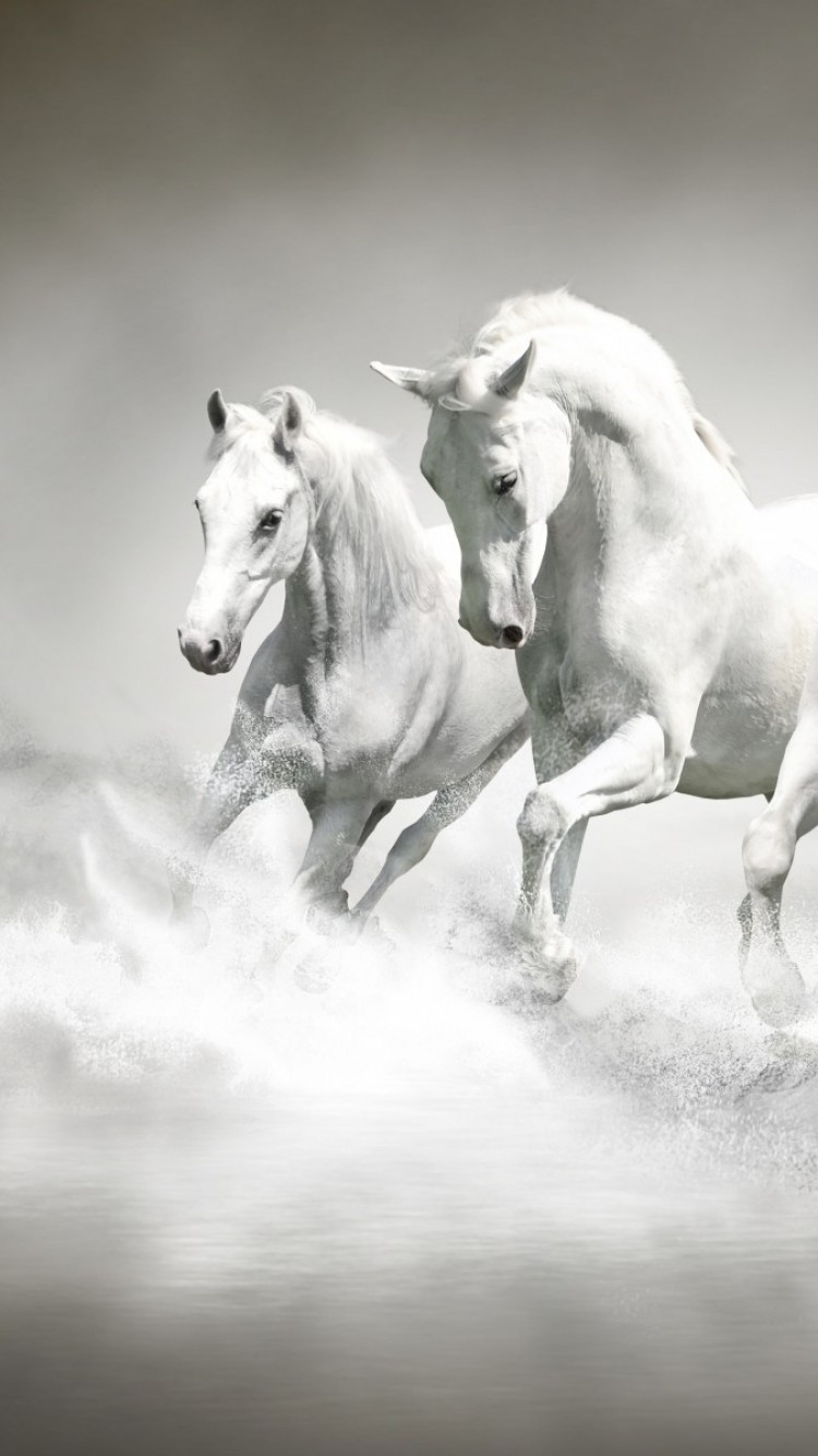 750x1340 White Horses, Majestic, Running, Water Splash, Beach Running Wallpaper iPhone, Phone