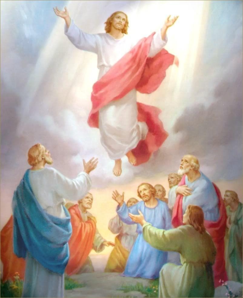 810x990 Jesus Picture Ascending To Heaven In Front Of Disciples. Jesus I, Phone