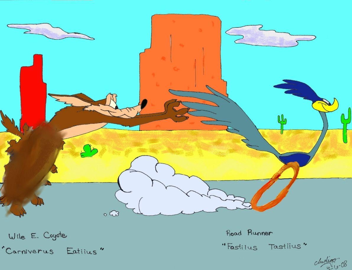 1200x920 image about Wile E Cypte and Road runner, Desktop