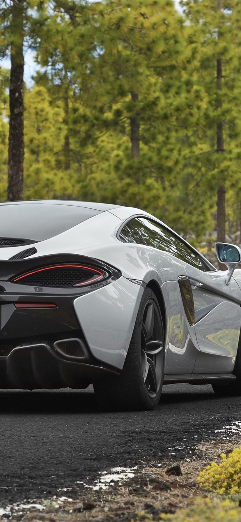 830x1800 McLaren 570GT white supercar back view, road, trees 1080x1920, Phone