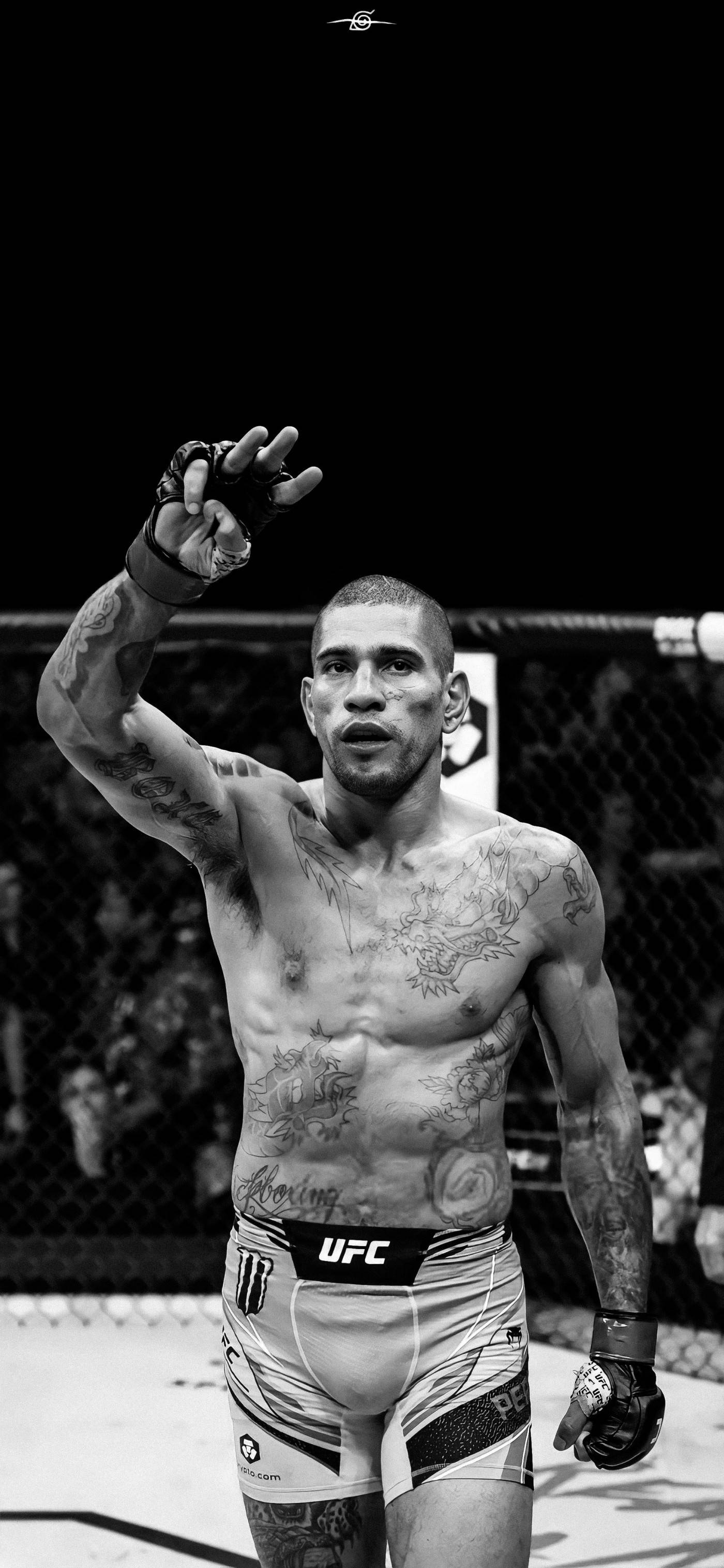 1400x3040 UFC middleweight champion Alex Pereira, Phone