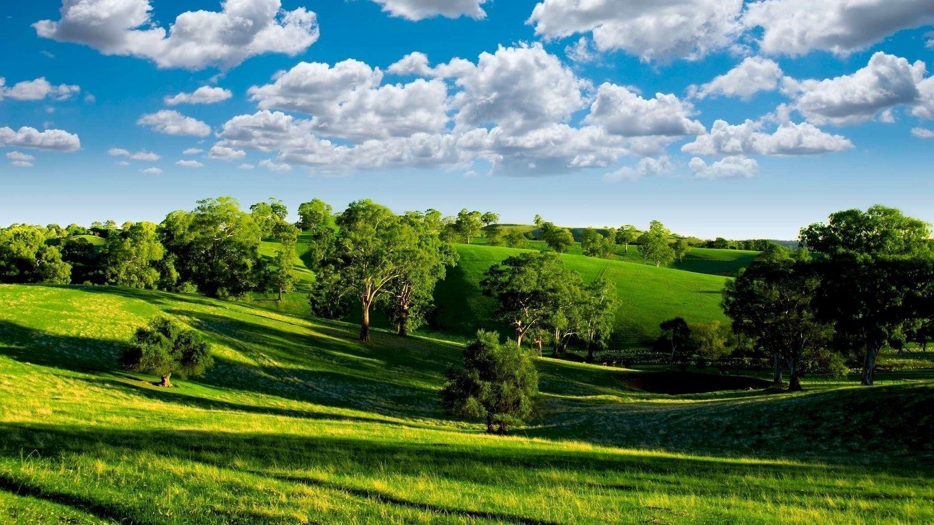 1920x1080 Download Wallpaper  Summer, Hills, Trees, Green, Meadows, Desktop