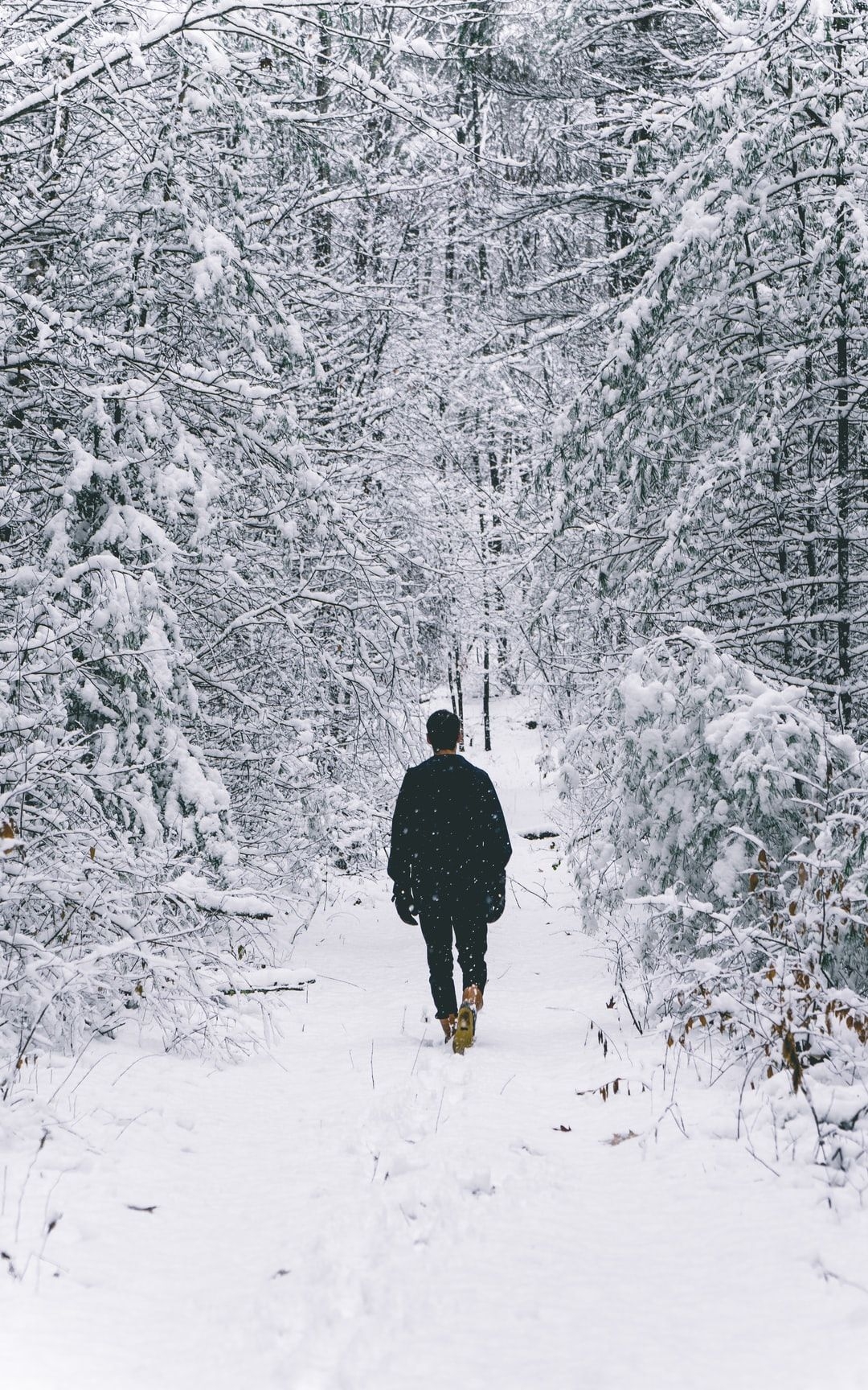 1080x1730 man walking on snow covered field surrounded, Phone