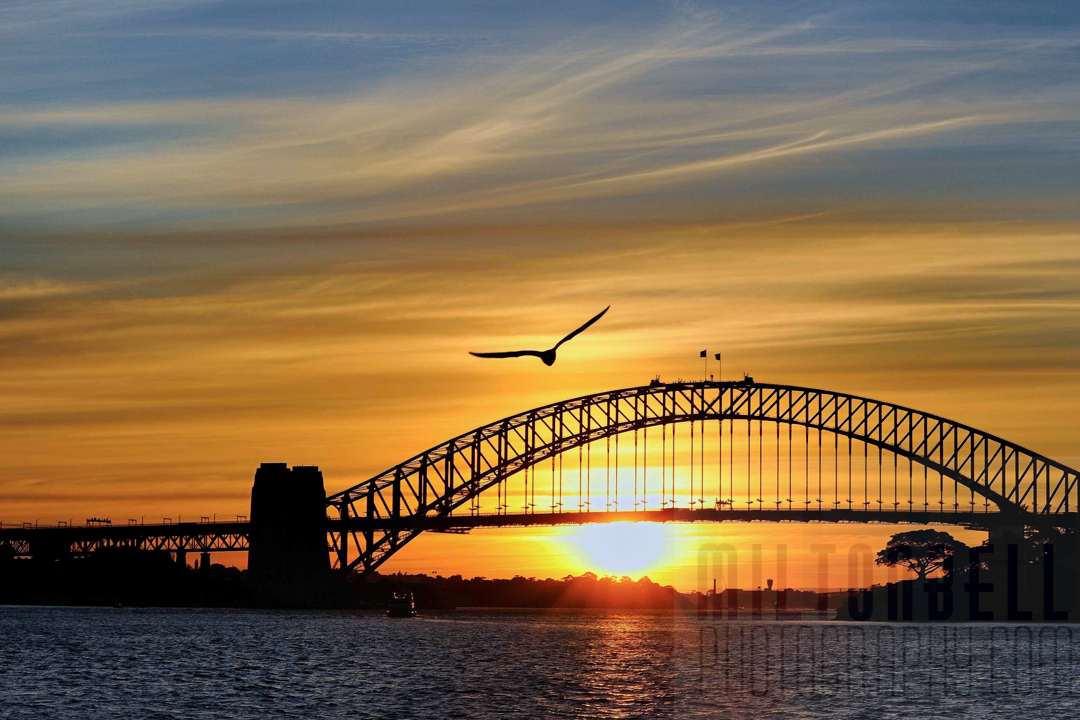 3780x2520 Beautiful Sunset at Sydney Harbour Bridge Australia 4K Wallpaper, Desktop