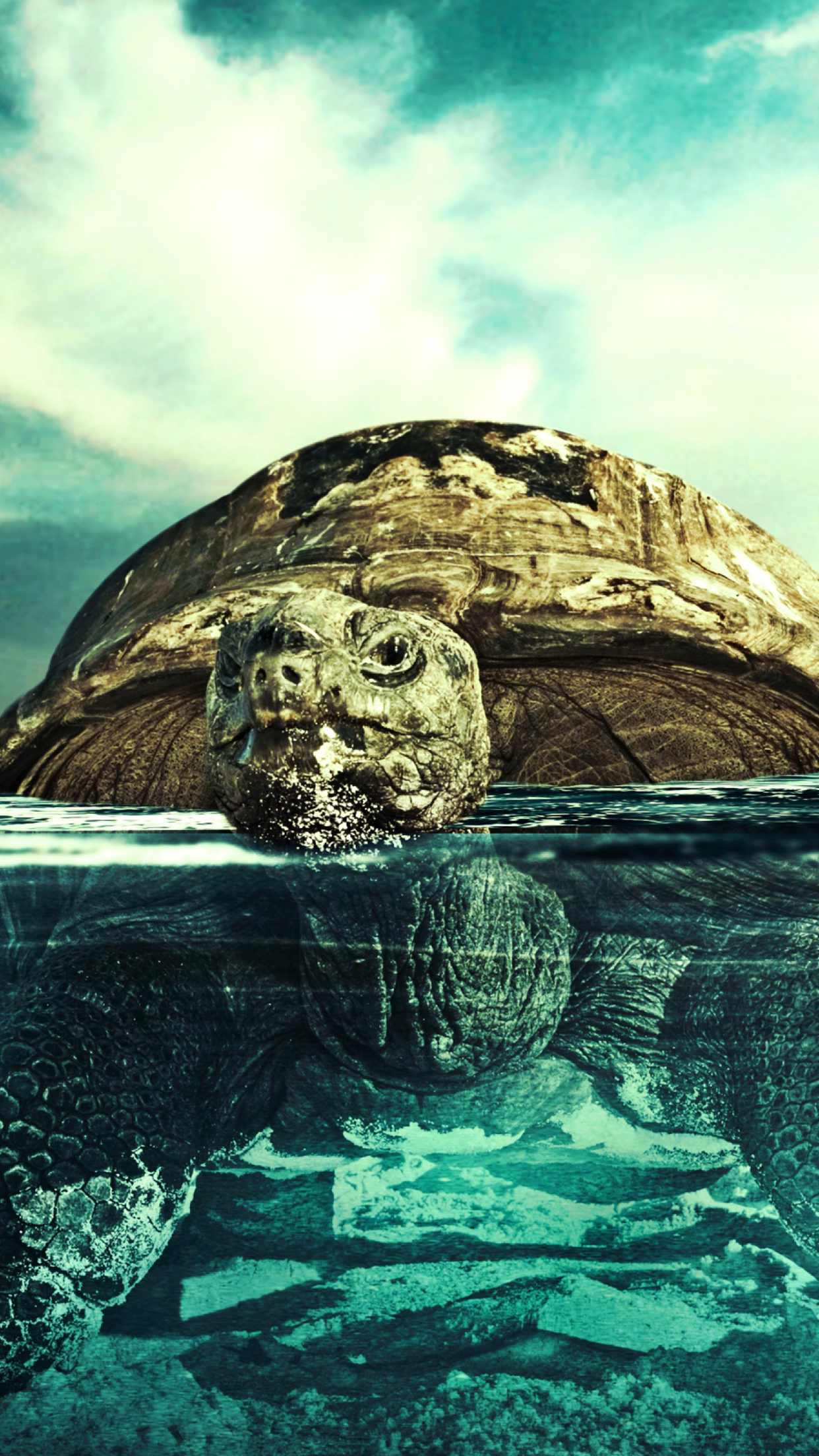 1250x2210 Turtle Wallpaper for iPhone Pro Max, X, 6, Phone