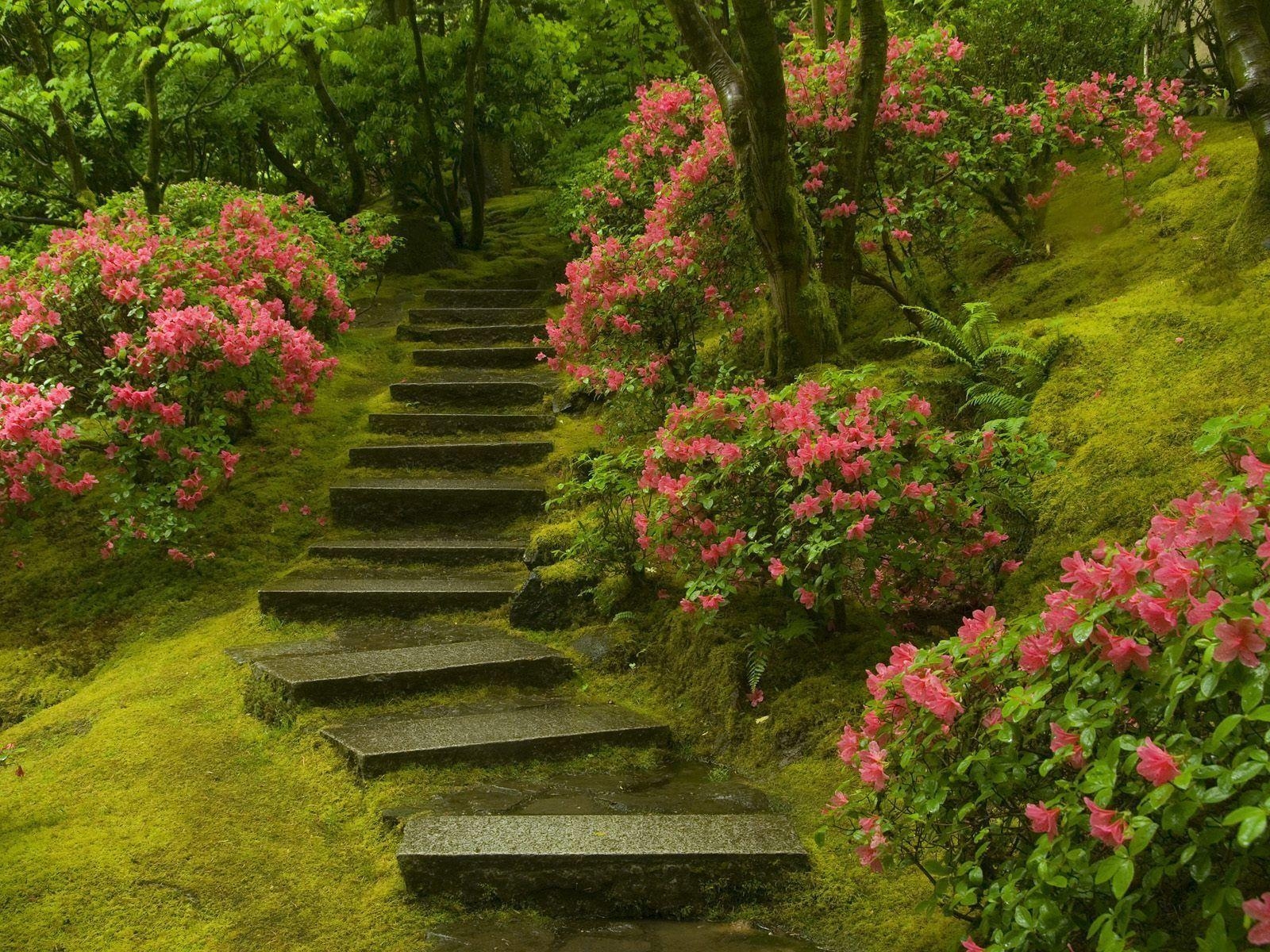 1600x1200 Japanese Garden Washington Park Wallpaper, Desktop