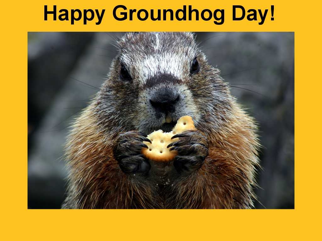 1030x770 Groundhog Day Wallpaper, Desktop