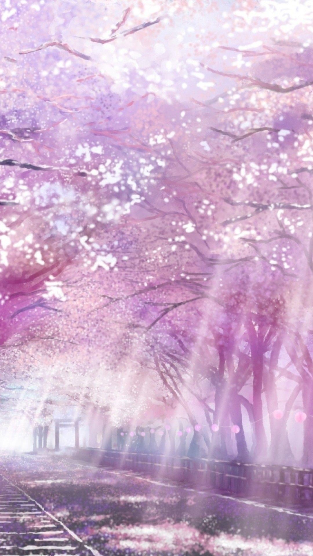 1080x1920 Cherry Blossoms Anime Scenery Wallpaper Free Cherry, Phone