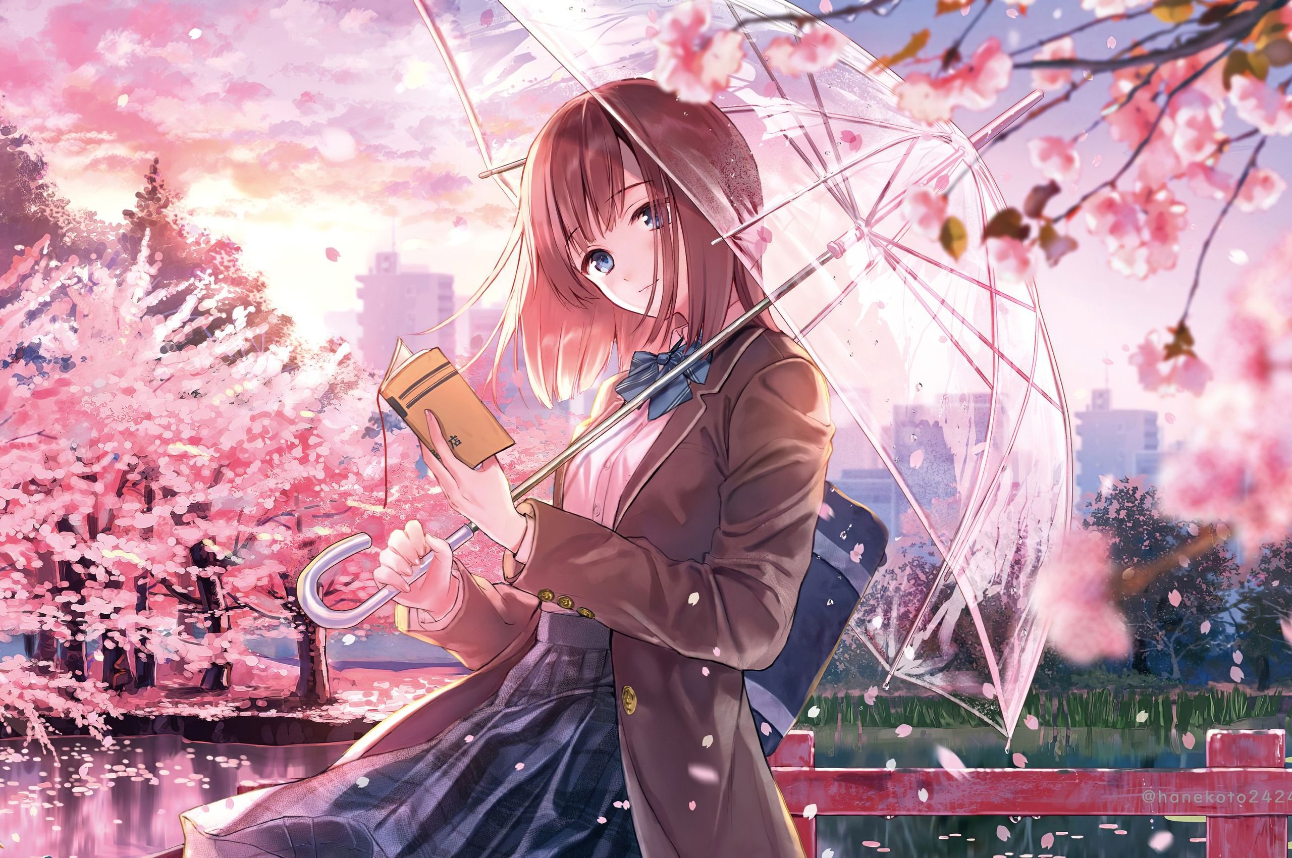 2560x1700 Anime Girl Cherry Blossom Season 5k Chromebook Pixel HD 4k Wallpaper, Image, Background, Photo and Picture, Desktop