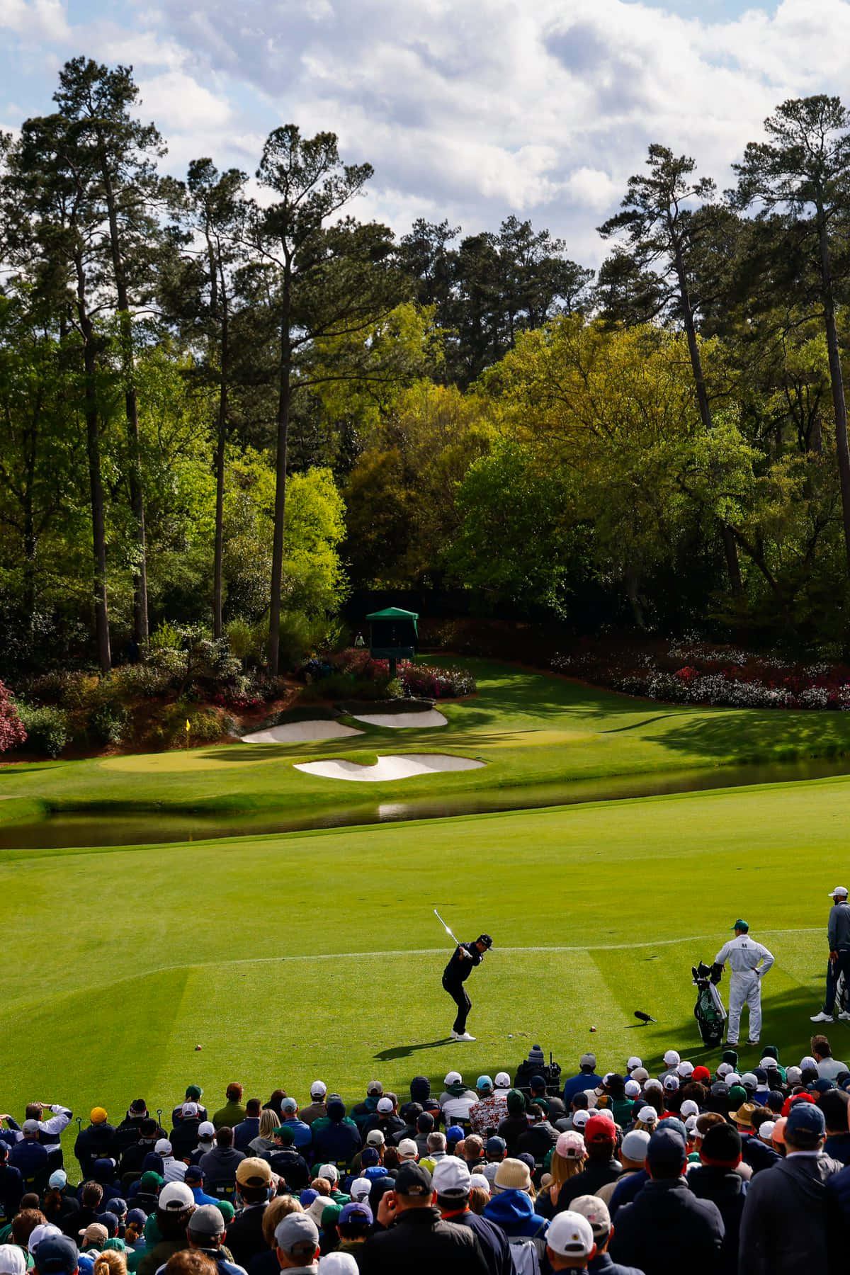 1200x1800 At Augusta National iPhone Wallpaper, Phone