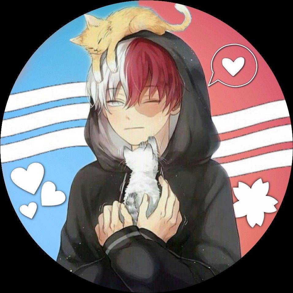 960x960 bnha #mha #my #hero #academia #todoroki #cute #cats #todoroki, Phone