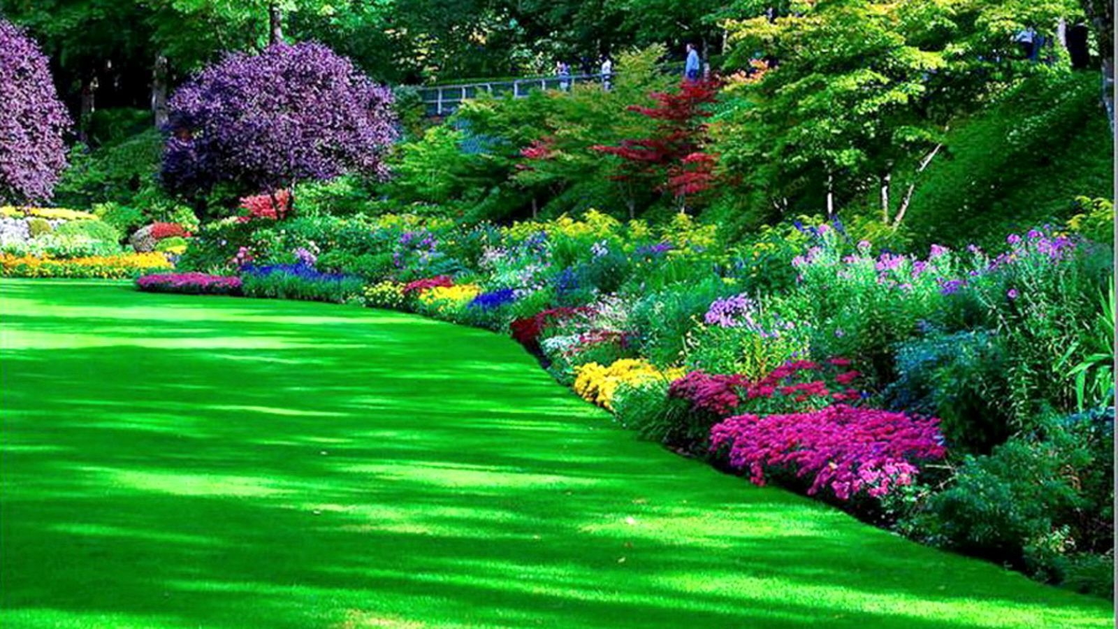 1600x900 Garden Image HD Free Download Garden Park HD Pretty. Flower garden image, Garden image, Beautiful gardens, Desktop