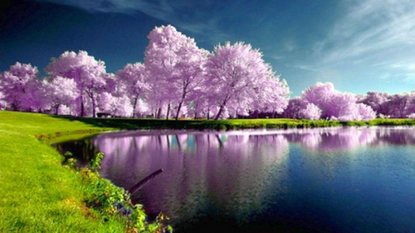 1370x770 Spring HD Wallpaper, Desktop