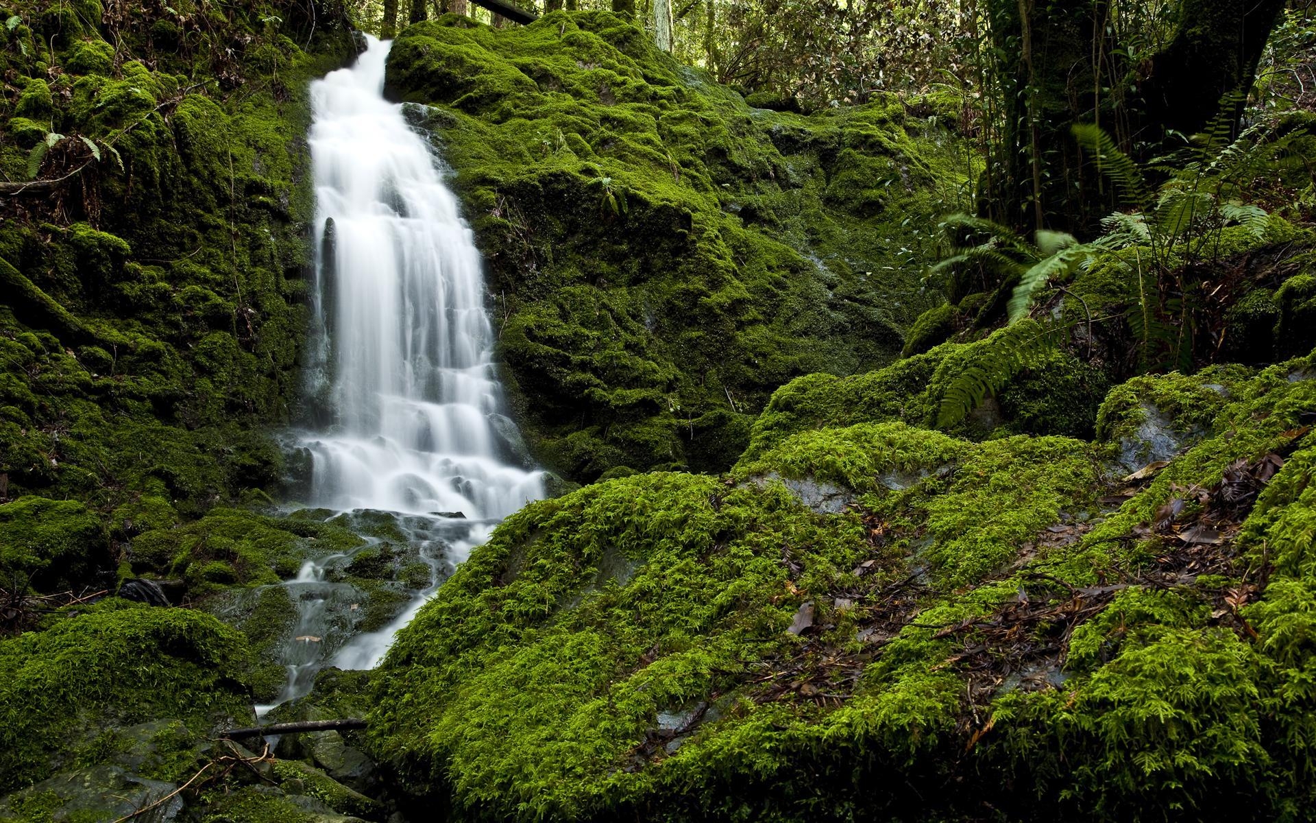 1920x1200 Daily Wallpaper: Angel Falls, Venezuela. I Like To Waste My Time, Desktop