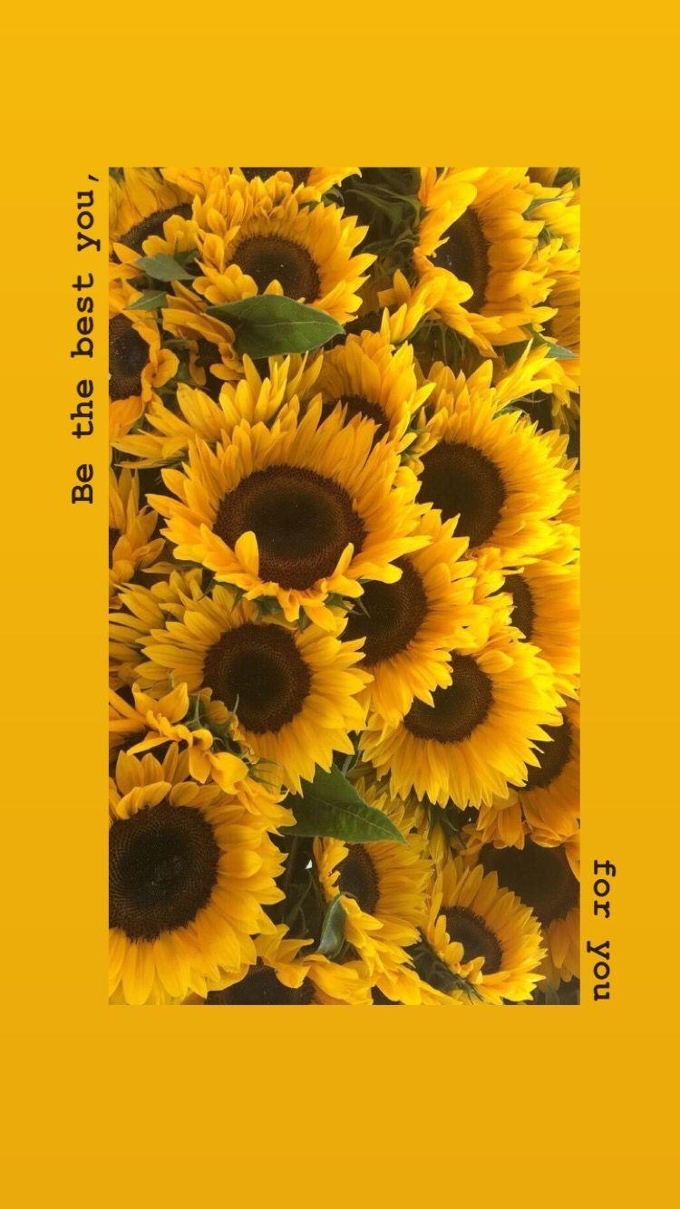 750x1340 Sunflower Yellow Tumblr Aesthetic Wallpaper Free, Phone