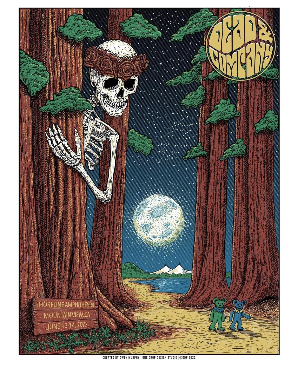 1170x1460 Dead & Company Live at Shoreline, Phone