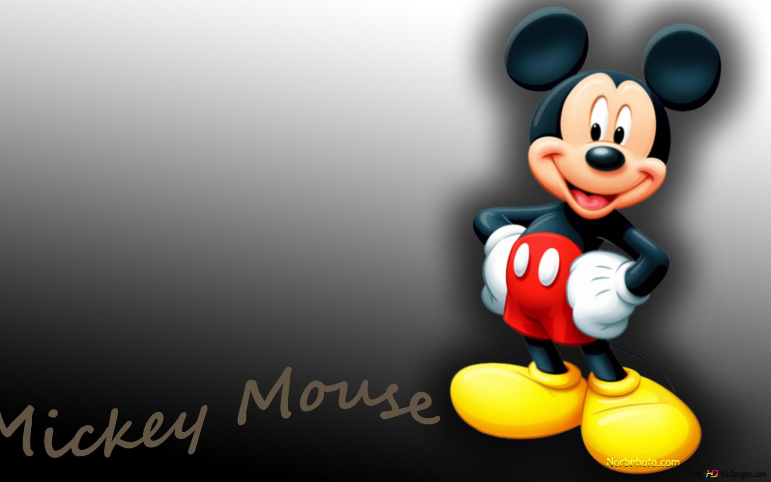 2560x1600 Disney mickey mouse 2K wallpaper download, Desktop