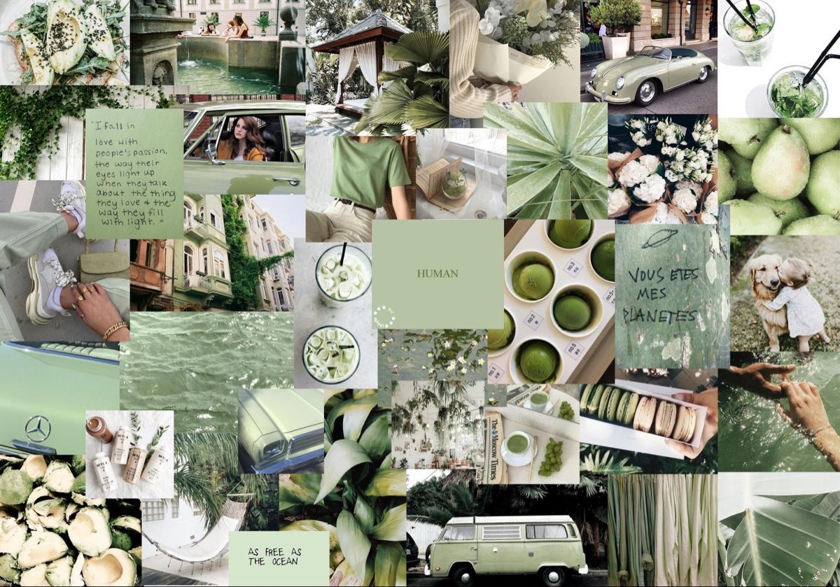 1200x840 matcha sage green aesthetic laptop wallpaper. Cute laptop wallpaper, Aesthetic desktop wallpaper, Laptop wallpaper, Desktop