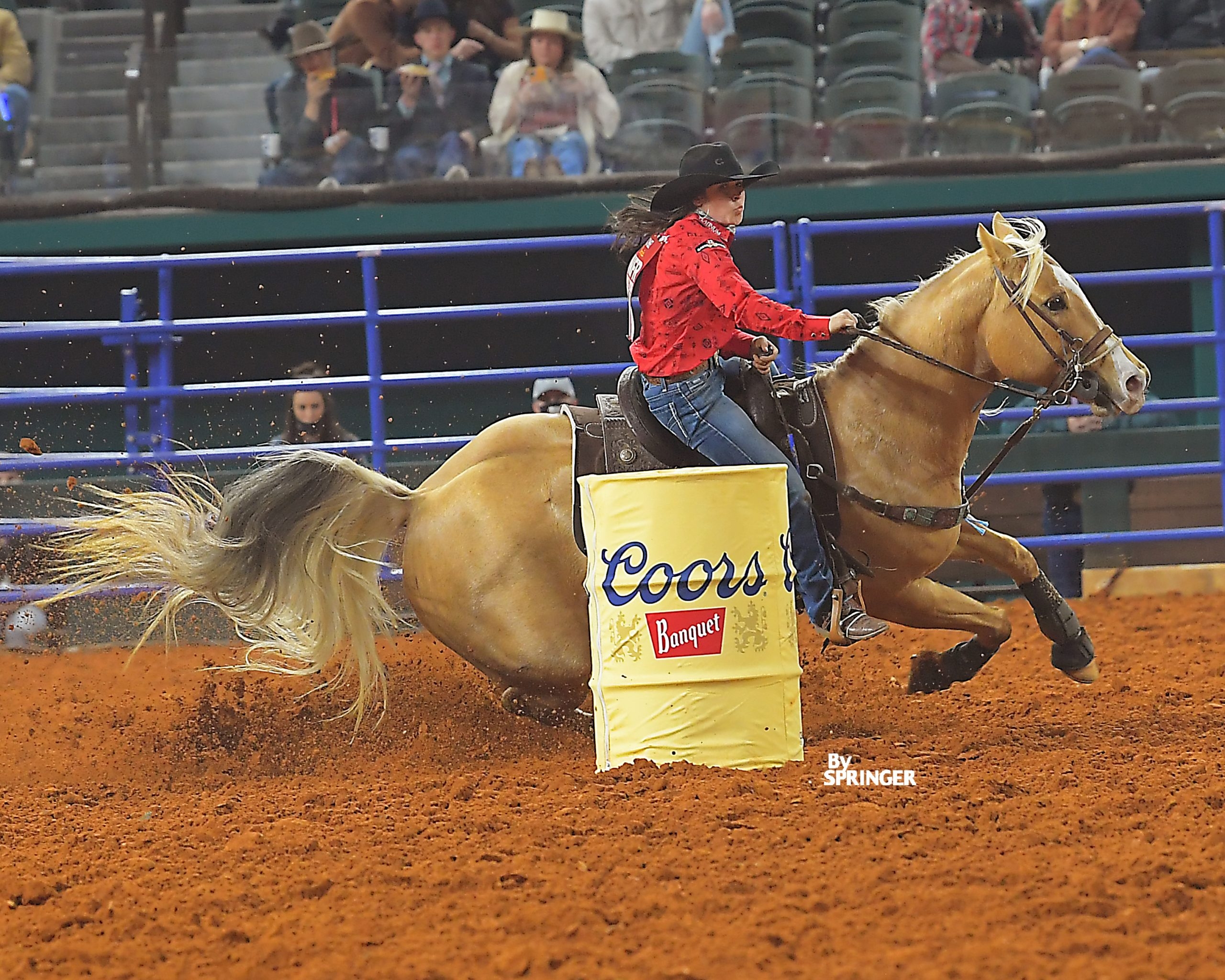 2560x2050 Hailey Kinsel Sets WPRA Standard Pattern Record in Wrangler NFR Round Eight Horse News, Desktop