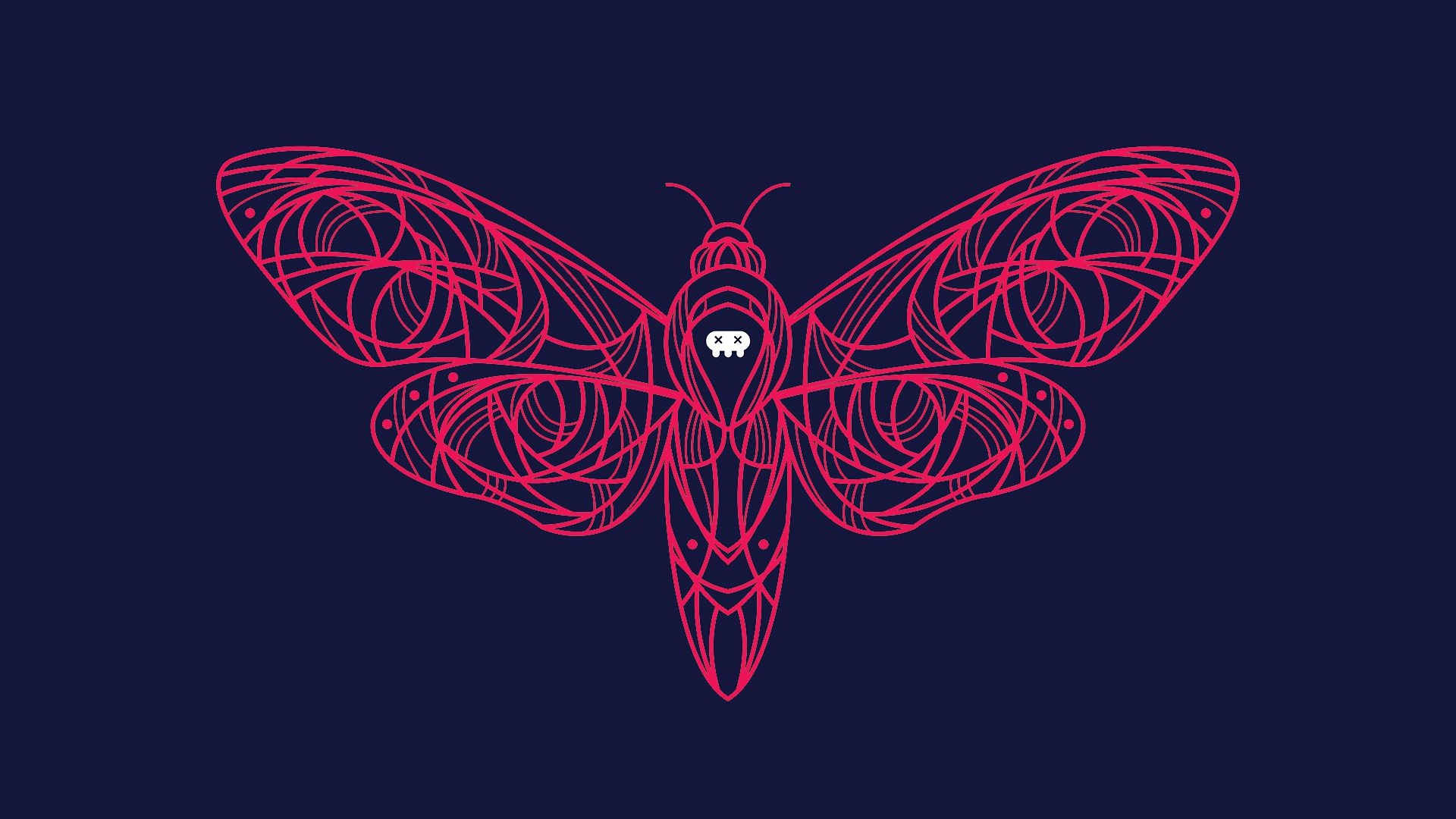 1920x1080 Moth Wallpaper, Desktop