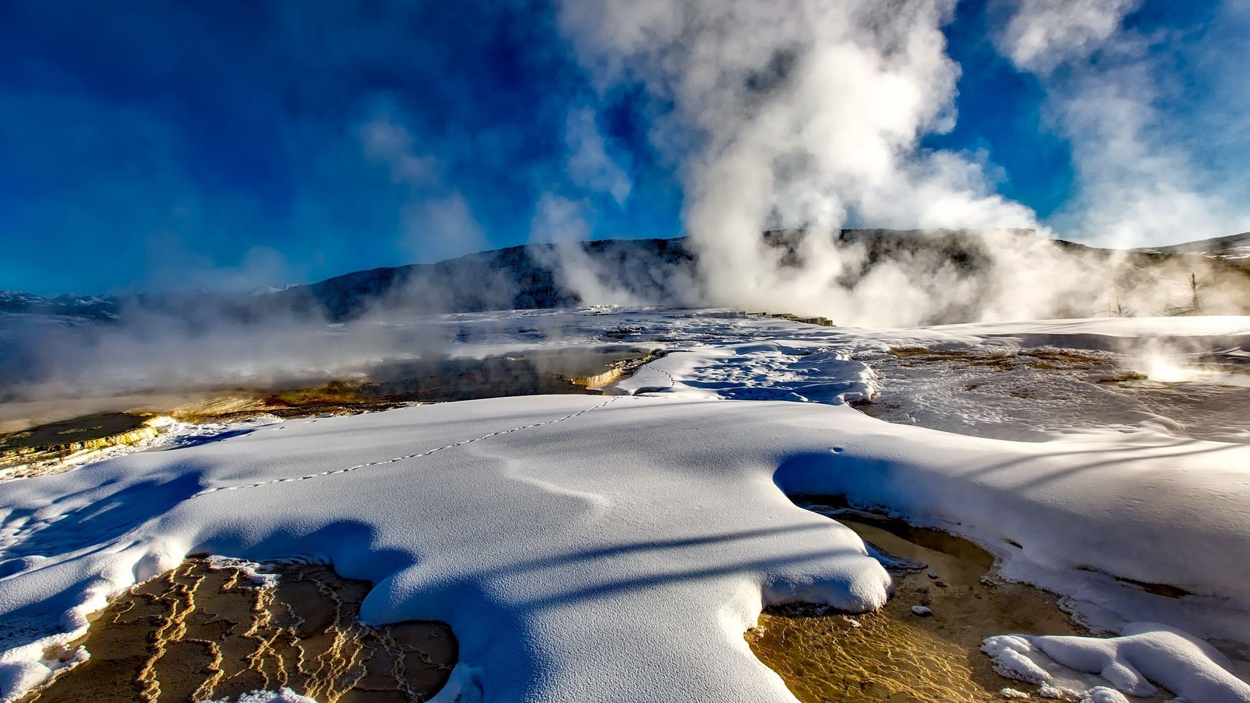 2560x1440 Download Wallpaper  Yellowstone, National park, Geyser, Desktop