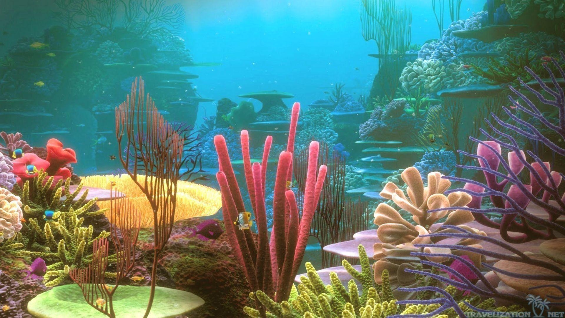 1920x1080 Colorful Coral Reef Wallpaper, Desktop