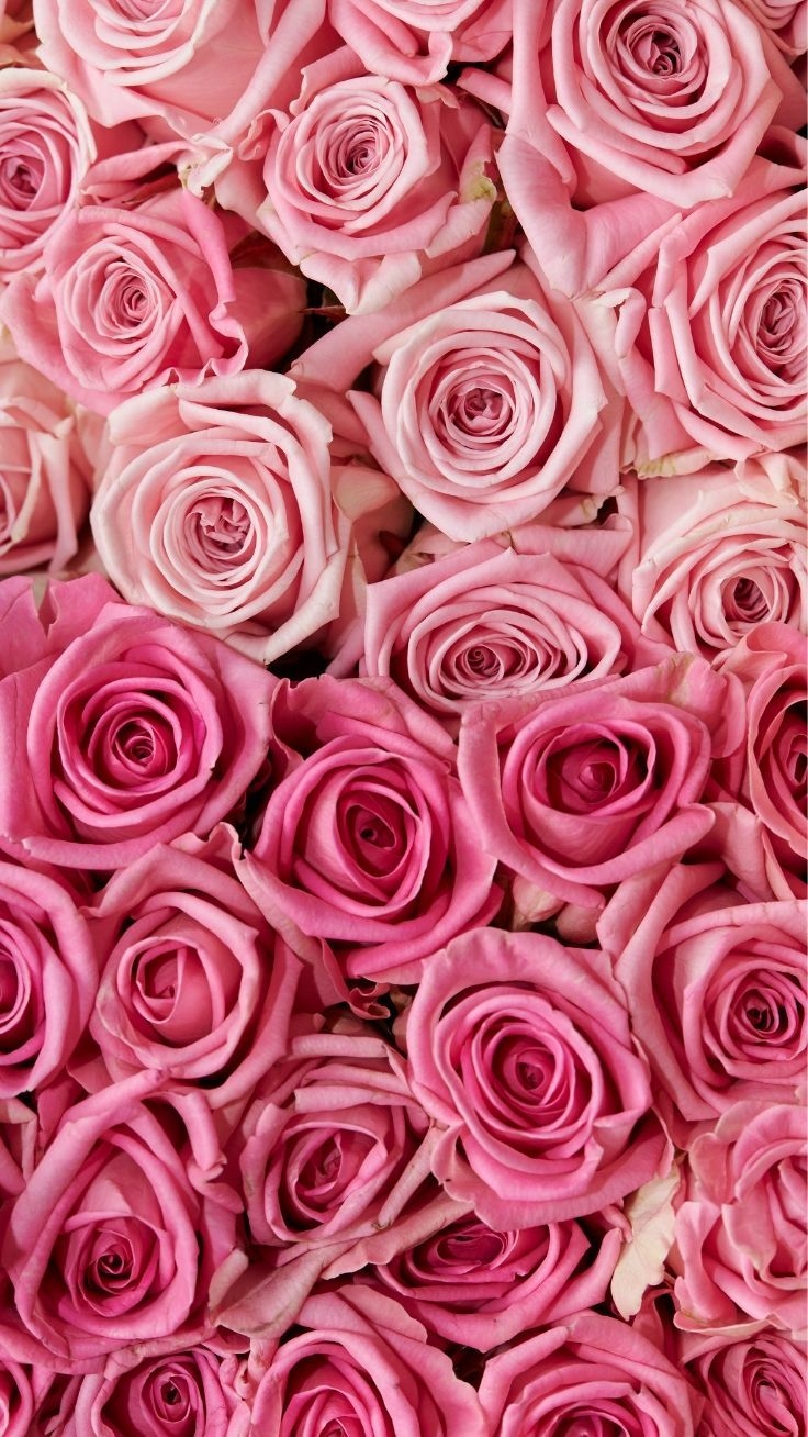 740x1310 Gorgeous Floral iPhone Xs Wallpaper. Preppy Wallpaper. Floral wallpaper iphone, Pink wallpaper iphone, Rose wallpaper, Phone