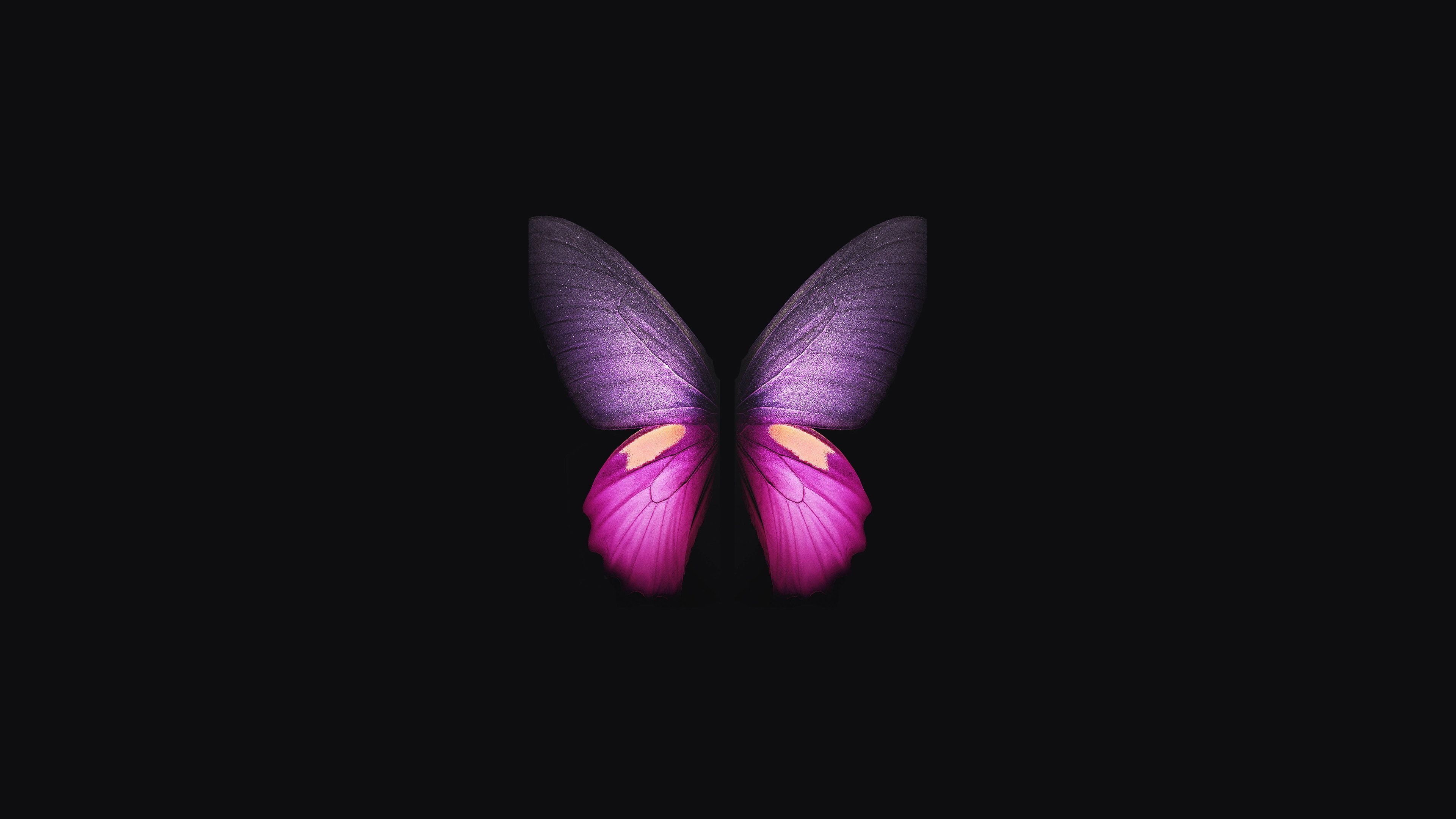 3840x2160 Pink Purple Butterfly In Black Background 4K HD Butterfly Wallpaper, Desktop