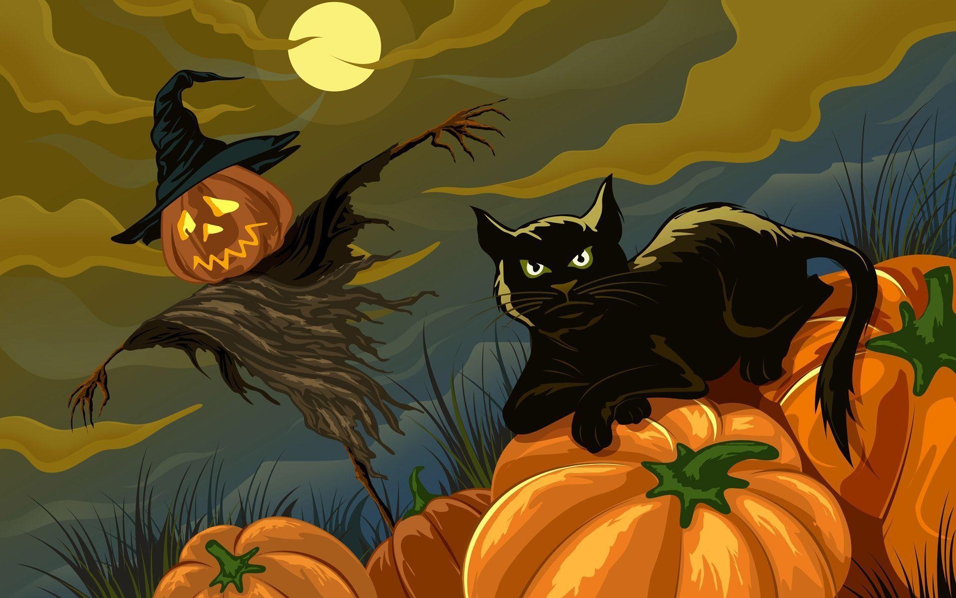 1920x1200 Black Cat Halloween Wallpaper Free Black Cat Halloween Background, Desktop