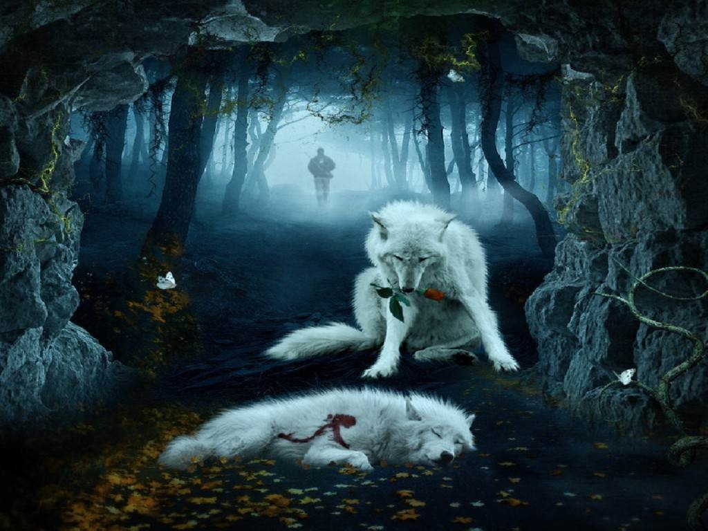 1030x770 Cool Wolf Background Wallpaper. HD Wallpaper. Wolf, Desktop