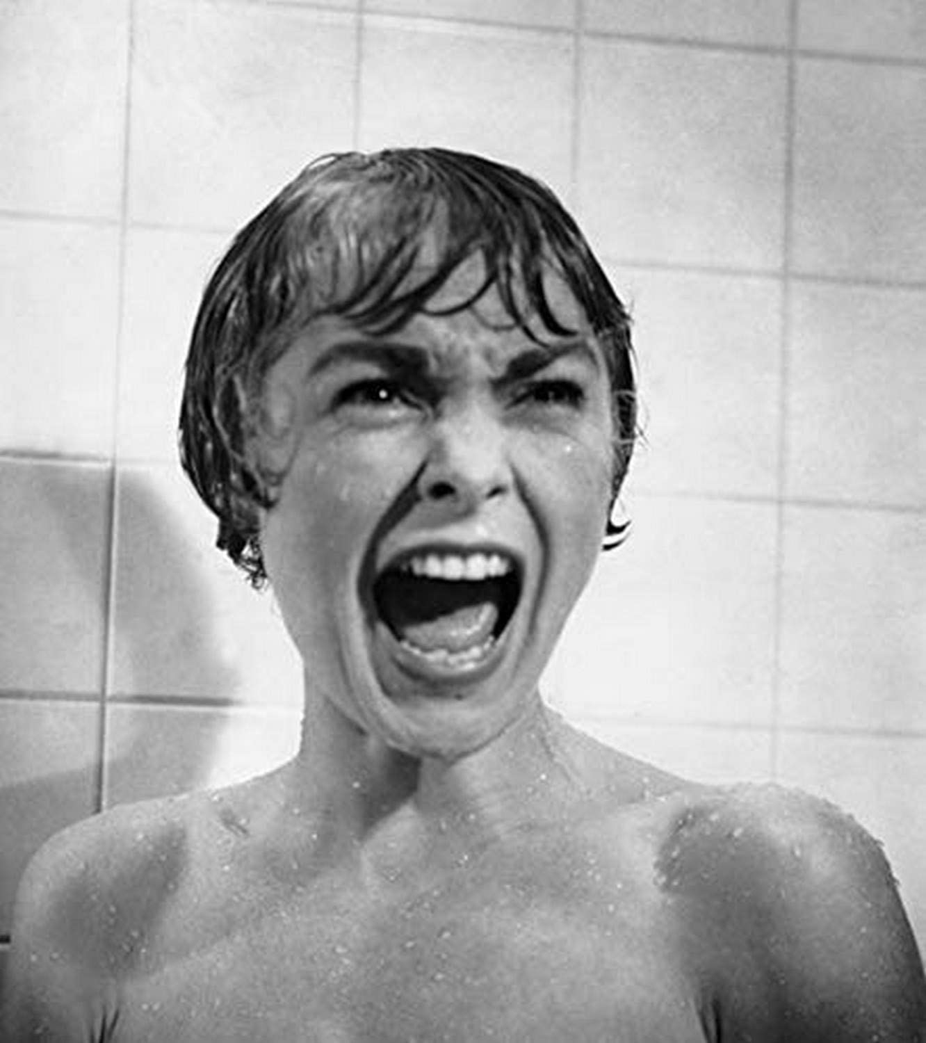 1340x1500 Psycho Janet Leigh Shower Scene 1960 Photo Print (8 x 10): Posters & Prints, Phone