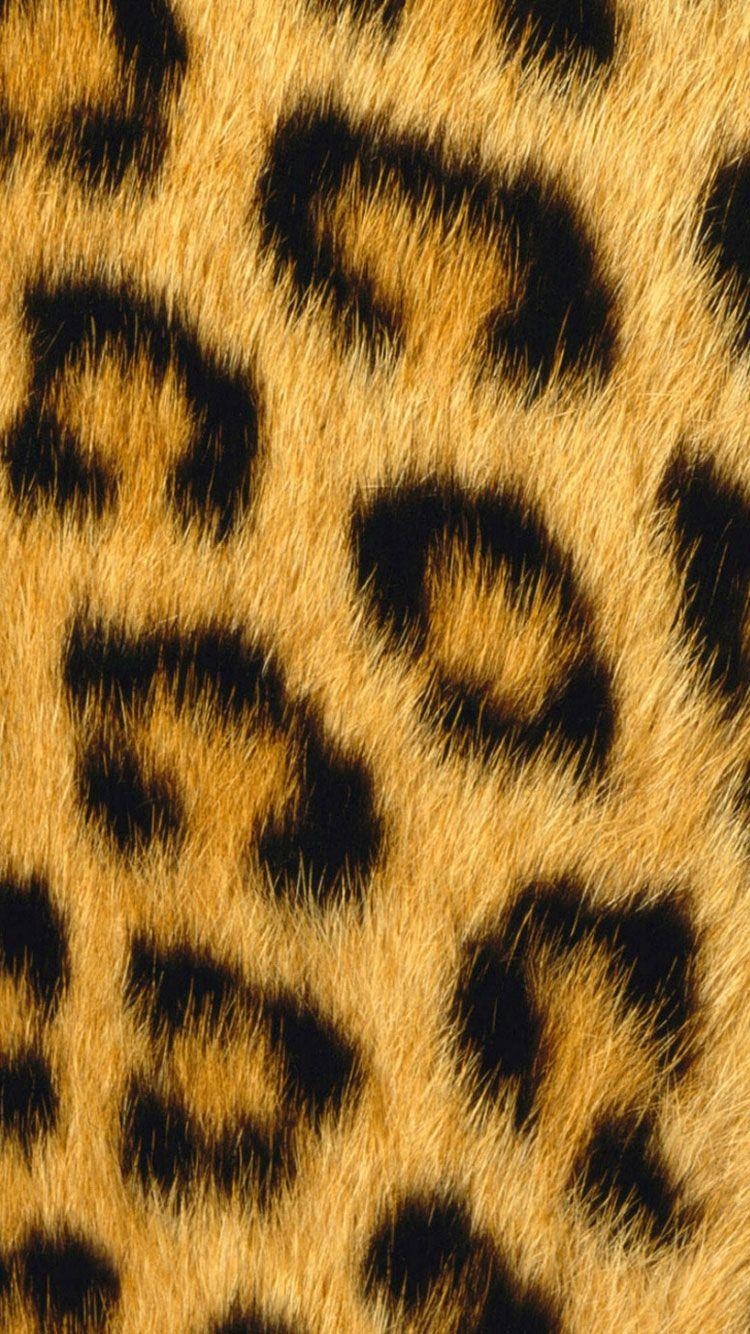 750x1340 Cheetah Print IPhone Wallpaper, Phone