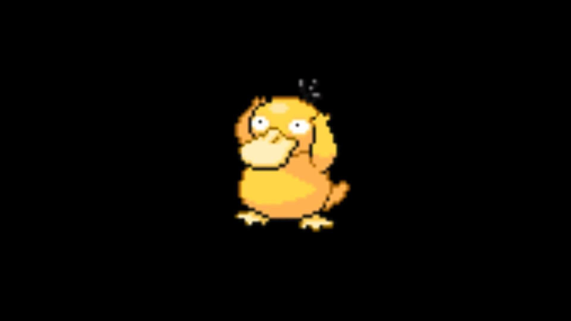 1920x1080 Psyduck Wallpaper, Desktop