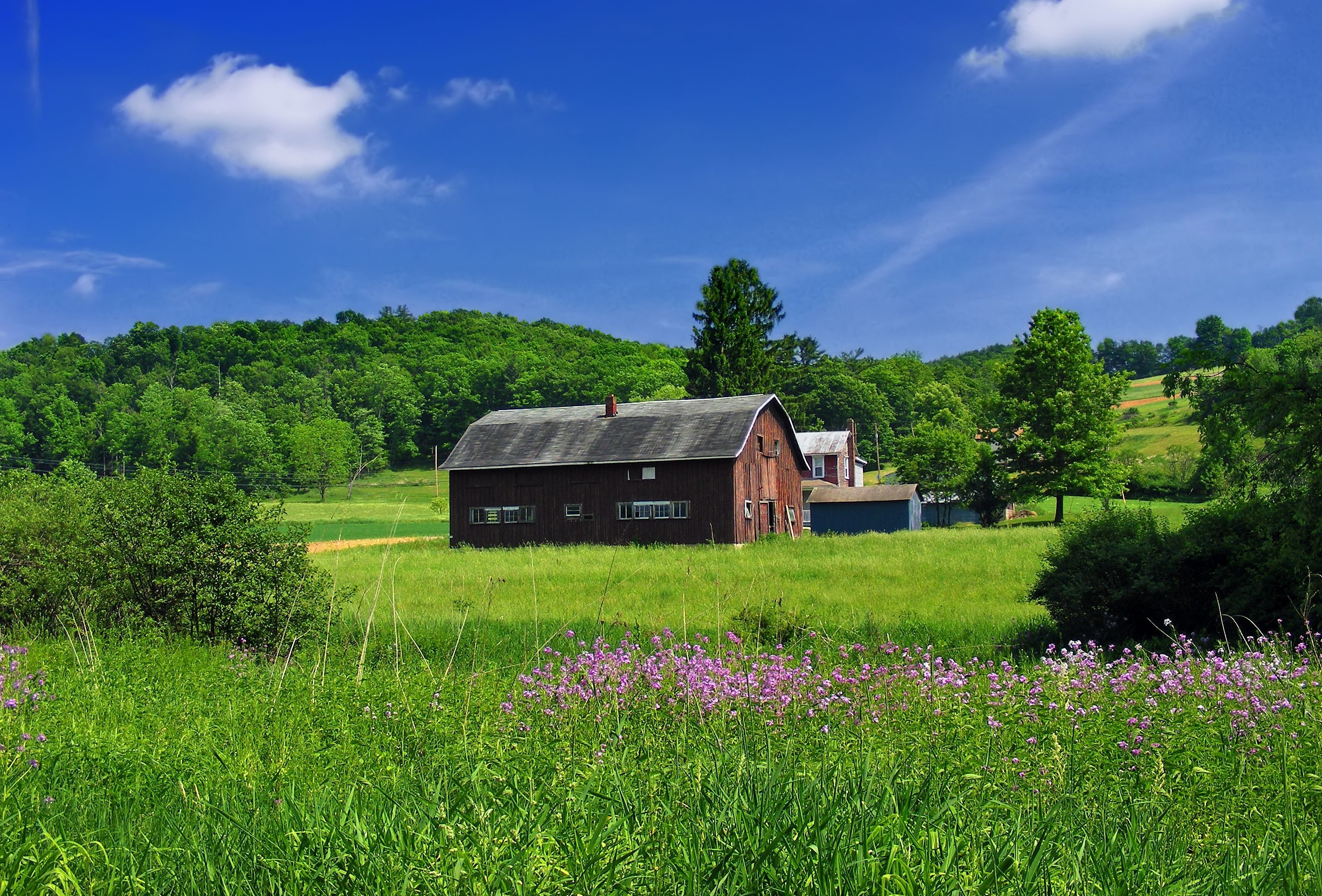 2970x2010 Picture Pennsylvania USA Benton Township Columbia County, Desktop