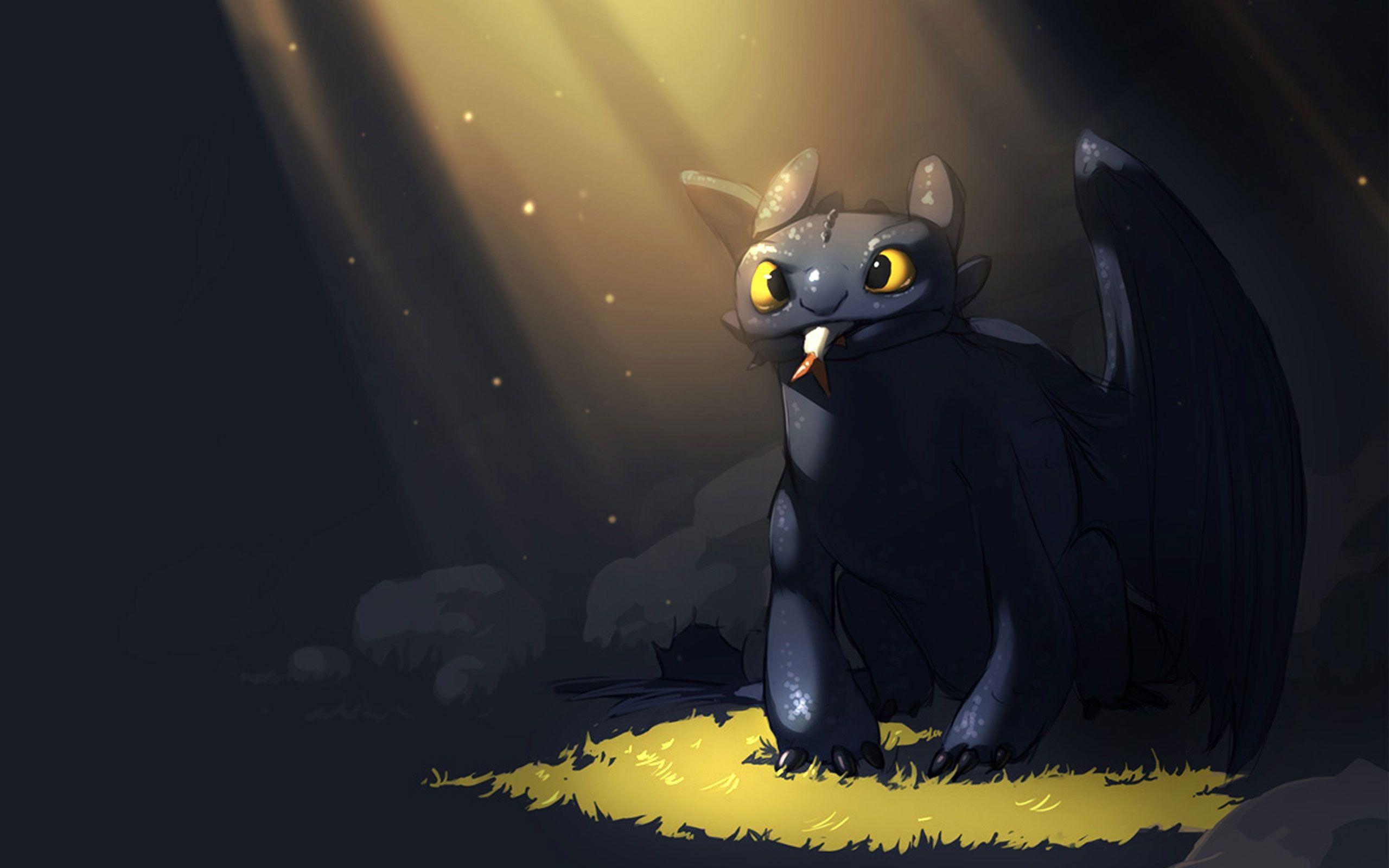 2560x1600 How To Train Your Dragon 2 Toothless Cute, Desktop