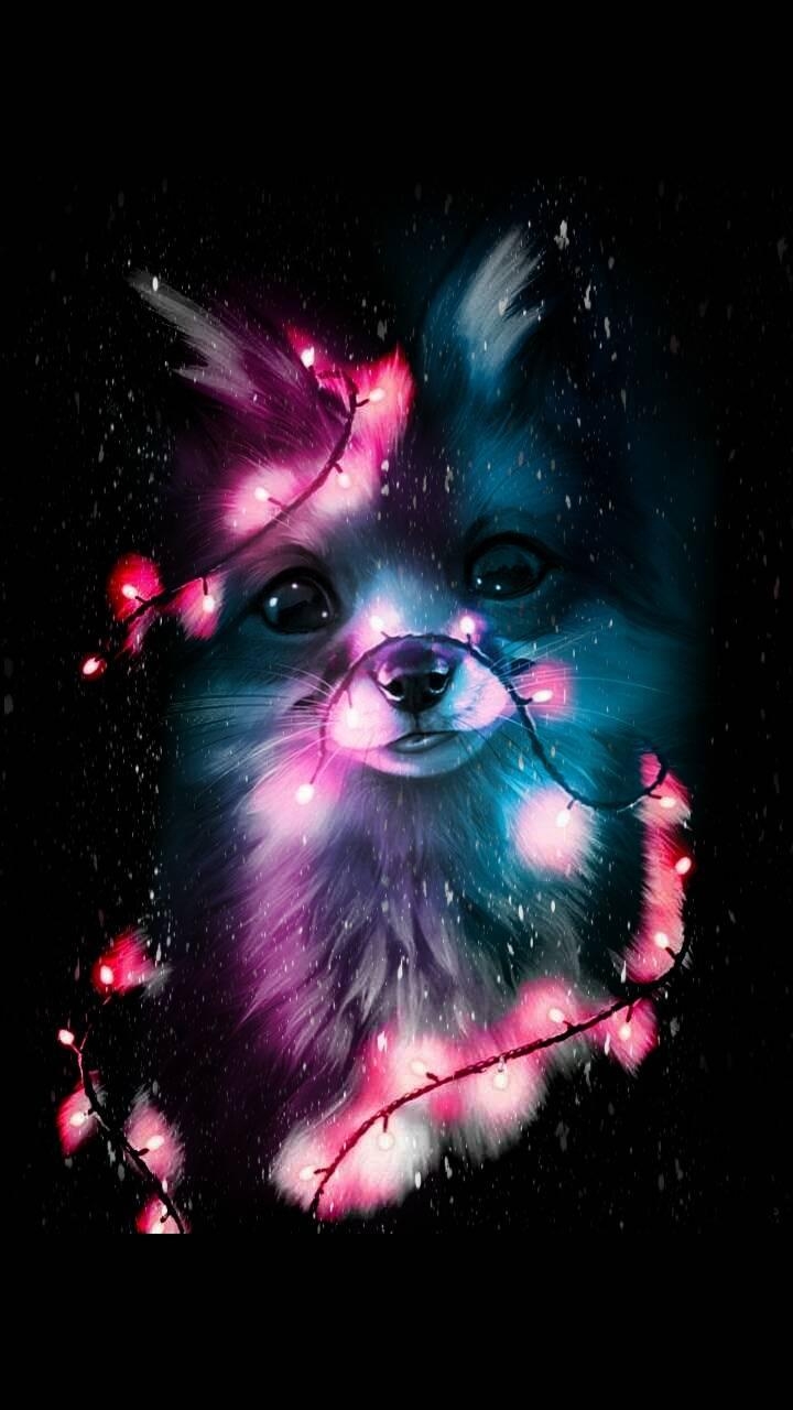 720x1280 Cute Fox wallpaper, Phone