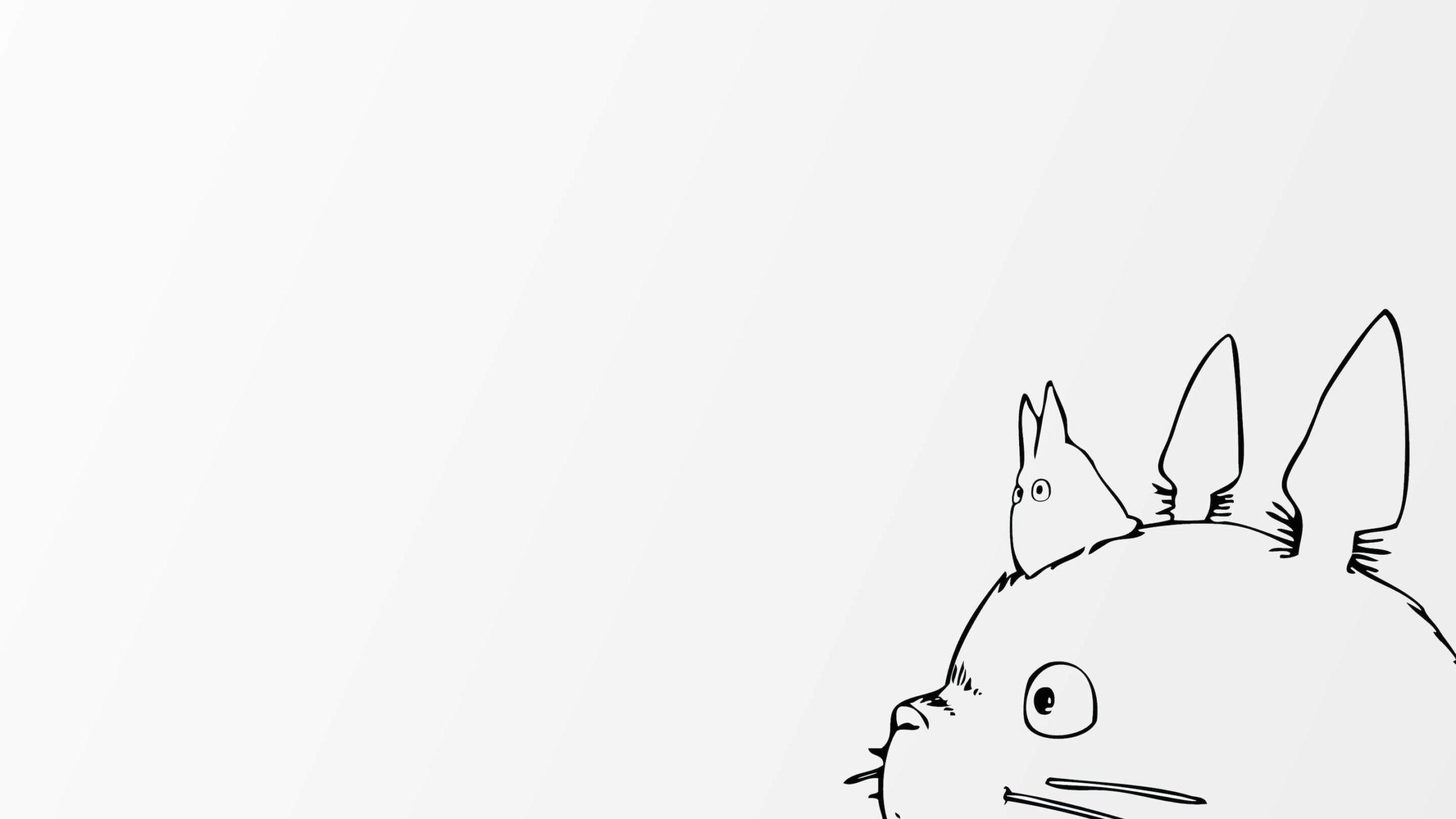 2560x1440 Totoro Wallpaper background picture, Desktop